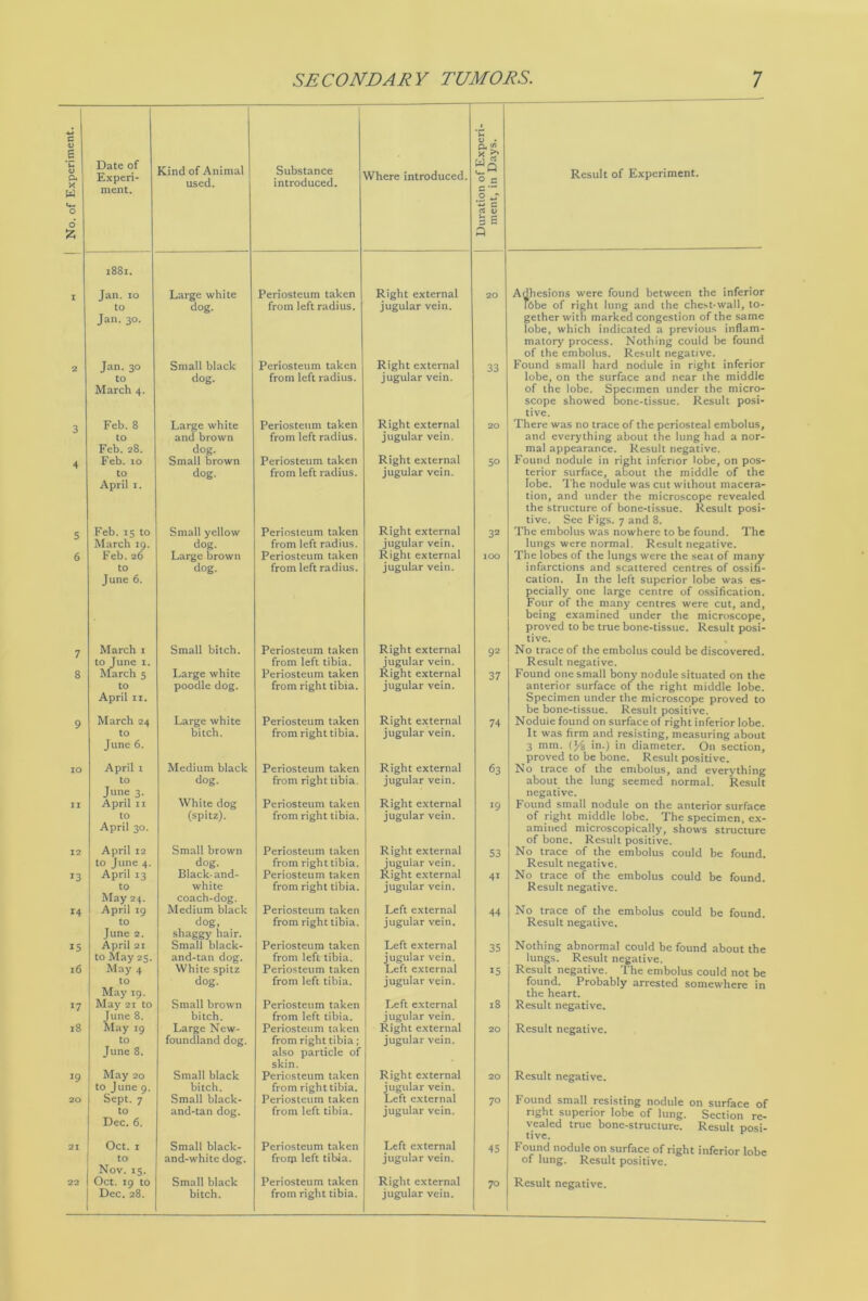 No. of Experiment. i 2 3 4 5 6 7 8 9 to ii 12 T3 14 15 16 17 18 19 20 21 22 Date of Experi- ment. Kind of Animal used. Substance introduced. Where introduced. Duration of Experi- ment, in Days. 1881. Jan. 10 Large white Periosteum taken Right external 20 to dog. from left radius. jugular vein. Jan. 30. Jan. 30 Small black Periosteum taken Right external 33 to dog. from left radius. jugular vein. March 4. Feb. 8 Large white Periosteum taken Right external 20 to and brown from left radius. jugular vein. Feb. 28. dog. Feb. 10 Small brown Periosteum taken Right external 5° to dog. from left radius. jugular vein. April 1. Feb.is to Small yellow Periosteum taken Right external 32 March 19. dog. from left radius. jugular vein. Feb.26 Large brown Periosteum taken Right external lOO to dog. from left radius. jugular vein. June 6. March 1 Small bitch. Periosteum taken Right external 92 to June 1. from left tibia. jugular vein. March 5 Large white Periosteum taken Right external 37 to poodle dog. from right tibia. jugular vein. April 11. March 24 Large white Periosteum taken Right external 74 to bitch. from right tibia. jugular vein. June 6. April 1 Medium black Periosteum taken Right external 63 to dog. from right tibia. jugular vein. April 11 White dog Periosteum taken Right external 19 to (spitz). from right tibia. jugular vein. April 30. April 12 Small brown Periosteum taken Right external 53 to June 4. dog. from right tibia. jugular vein. April 13 Black-and- Periosteum taken Right external 41 to white from right tibia. jugular vein. May 24. coach-dog. April 19 Medium black Periosteum taken Left external 44 to dog, from right tibia. jugular vein. June 2. shaggy hair. April 21 Small black- Periosteum taken Left external 35 to May 25. and-tan dog. from left tibia. jugular vein. May 4 White spitz Periosteum taken Left external 15 to dog. from left tibia. jugular vein. May 19. May 21 to Small brown Periosteum taken Left external 18 June 8. bitch. from left tibia. jugular vein. May 19 Large New- Periosteum taken Right external 20 to foundland dog. from right tibia; jugular vein. June 8. also particle of skin. May 20 Small black Periosteum taken Right external 20 to June 9. bitch. from right tibia. jugular vein. Sept. 7 Small black- Periosteum taken Left external 70 to and-tan dog. from left tibia. jugular vein. Dec. 6. Oct. 1 Small black- Periosteum taken Left external 45 to and-white dog. from left tibia. jugular vein. Nov. 15. Oct. 19 to Small black Periosteum taken Right external 70 Dec. 28. bitch. from right tibia. jugular vein. Result of Experiment. Adhesions were found between the inferior lobe of right lung and the chest-wall, to- gether with marked congestion of the same lobe, which indicated a previous inflam- matory process. Nothing could be found of the embolus. Result negative. Found small hard nodule in right inferior lobe, on the surface and near the middle of the lobe. Specimen under the micro- scope showed bone-tissue. Result posi- tive. There was no trace of the periosteal embolus, and everything about the lung had a nor- mal appearance. Result negative. Found nodule in right inferior lobe, on pos- terior surface, about the middle of the lobe. The nodule was cut without macera- tion, and under the microscope revealed the structure of bone-tissue. Result posi- tive. See Figs. 7 and 8. The embolus was nowhere to be found. The lungs were normal. Result negative. The lobes of the lungs were the seat of many infarctions and scattered centres of ossifi- cation. In the left superior lobe was es- pecially one large centre of ossification. Four of the many centres were cut, and, being examined under the microscope, proved to be true bone-tissue. Result posi- tive. No trace of the embolus could be discovered. Result negative. Found one small bony nodule situated on the anterior surface of the right middle lobe. Specimen under the microscope proved to be bone-tissue. Result positive. Nodule found on surface of right inferior lobe. It was firm and resisting, measuring about 3 mm. (J4 in.) in diameter. On section, proved to be bone. Result positive. No trace of the embolus, and everything about the lung seemed normal. Result negative. Found small nodule on the anterior surface of right middle lobe. The specimen, ex- amined microscopically, shows structure of bone. Result positive. No trace of the embolus could be found. Result negative. No trace of the embolus could be found. Result negative. No trace of the embolus could be found. Result negative. Nothing abnormal could be found about the lungs. Result negative. Result negative. The embolus could not be found. Probably arrested somewhere in the heart. Result negative. Result negative. Result negative. Found small resisting nodule on surface of right superior lobe of lung. Section re- vealed true bone-structure. Result posi- tive. Found nodule on surface of right inferior lobe of lung. Result positive. Result negative.