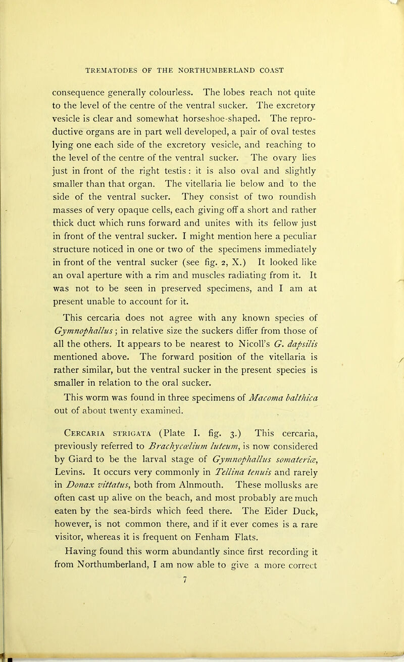 consequence generally colourless. The lobes reach not quite to the level of the centre of the ventral sucker. The excretory vesicle is clear and somewhat horseshoe-shaped. The repro- ductive organs are in part well developed, a pair of oval testes lying one each side of the excretory vesicle, and reaching to the level of the centre of the ventral sucker. The ovary lies just in front of the right testis : it is also oval and slightly smaller than that organ. The vitellaria lie below and to the side of the ventral sucker. They consist of two roundish masses of very opaque cells, each giving off a short and rather thick duct which runs forward and unites with its fellow just in front of the ventral sucker. I might mention here a peculiar structure noticed in one or two of the specimens immediately in front of the ventral sucker (see fig. 2, X.) It looked like an oval aperture with a rim and muscles radiating from it. It was not to be seen in preserved specimens, and I am at present unable to account for it. This cercaria does not agree with any known species of Gy77tnophalhis; in relative size the suckers differ from those of all the others. It appears to be nearest to Nicoll’s G. dapsilis mentioned above. The forward position of the vitellaria is rather similar, but the ventral sucker in the present species is smaller in relation to the oral sucker. This worm was found in three specimens of Macot7ia halthica out of about twenty examined. Cercaria strigata (Plate I. fig. 3.) This cercaria, previously referred to B7-achyccelm77i biteu77i, is now considered by Giard to be the larval stage of Gy77i7iophalhis so77iatericB, Levins. It occurs very commonly in Tellma te7iiiis and rarely in Do7iax vittatus, both from Alnmouth. These mollusks are often cast up alive on the beach, and most probably are much eaten by the sea-birds which feed there. The Eider Duck, however, is not common there, and if it ever comes is a rare visitor, whereas it is frequent on Fenham Flats. Having found this worm abundantly since first recording it from Northumberland, I am now able to give a more correct