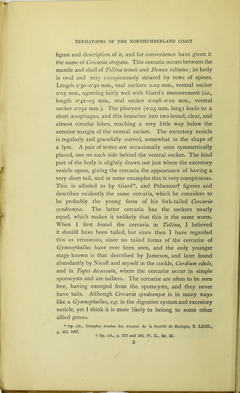 figure and description of it, and for convenience have given it the name of Cercai'ia strigata. This cercaria occurs between the mantle and shell of Tellina tenuis and Donax vittahis-, its body is oval and very conspicuously striated by rows of spines. Length o’3o-o-4o mm., oral suckers 0.09 mm., ventral sucker o'o5 mm., agreeing fairly well with Giard’s measurement {i.e., length 0*42-05 mm., oral sucker o'opS-o'io mm., ventral sucker 0*052 mm.). The pharynx (0*03 mm. long) leads to a short oesophagus, and this branches into two broad, clear, and almost circular lobes, reaching a very little way below the anterior margin of the ventral sucker. The excretory vesicle is regularly and gracefully curved, somewhat in the shape of a lyre. A pair of testes are occasionally seen symmetrically placed, one on each side behind the ventral sucker. The hind part of the body is slightly drawn out just where the excretory vesicle opens, giving the cercaria the appearance of having a very short tail, and in some examples this is very conspicuous. This is alluded to by Giard^, and Pelseneerj figures and describes evidently the same cercaria, which he considers to be probably the young form of his fork-tailed Cercaria syndosmyce. The latter cercaria has the suckers nearly equal, which makes it unlikely that this is the same worm. When I first found the cercaria in Tellina, I believed it should have been tailed, but since then I have regarded this as erroneous, since no tailed forms of the cercariae of Gymnophallus have ever been seen, and the only younger stage known is that described by Jameson, and later found abundantly by Nicoll and myself in the cockle, Cardium edule, and in Tapes dccussata, where the cercariae occur in simple sporocysts and are tailless. The cercariae are often to be seen free, having emerged from the sporocysts, and they never have tails. Although Cercaria syndosmyce is in many ways like a Gyiiinophallus, e.g. in the digestive system and excretory vesicle, yet I think it is more likely to belong to some other allied genus. * Op. cit., Comptes rendus des stances de la Soci^t^ de Biologie, T. LXIII., p. 419, 1907. t Op. cit., p. 173 and 185, PI. X., fig. 22.