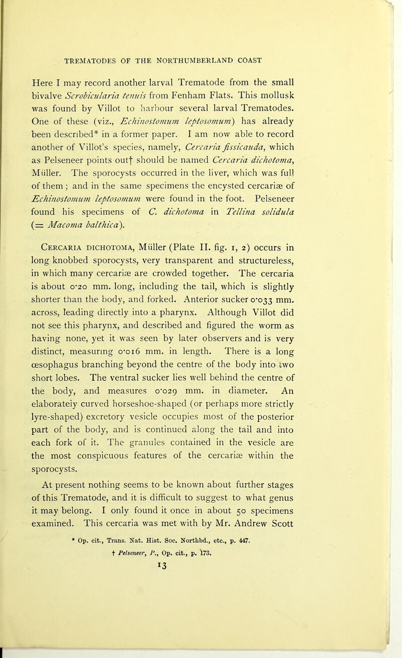Here I may record another larval Trematode from the small bivalve Scrobicularia tennis from Fenham Flats. This mollusk was found by Villot to harbour several larval Trematodes. One of these (viz., Echinosiomum leptosomnm) has already been described* in a former paper. I am now able to record another of Villot’s species, namely. Cere aria fissicanda, which as Pelseneer points outf should be named Cercaria dichotojua, Miiller. The sporocysts occurred in the liver, which was full of them; and in the same specimens the encysted cercariae of Echinostoinum leptosonium were found in the foot. Pelseneer found his specimens of C. dichotoma in Tellina solidula (~ Macoma balthica). Cercaria dichotoma, Muller (Plate II. fig. i, 2) occurs in long knobbed sporocysts, very transparent and structureless, in which many cercariae are crowded together. The cercaria is about o'2o mm. long, including the tail, which is slightly shorter than the body, and forked. Anterior sucker o‘033 mm. across, leading directly into a pharynx. Although Villot did not see this pharynx, and described and figured the worm as having none, yet it was seen by later observers and is very distinct, measuring o'oi6 mm. in length. There is a long oesophagus branching beyond the centre of the body into ivvo short lobes. The ventral sucker lies well behind the centre of the body, and measures 0^029 mm. in diameter. An elaborately curved horseshoe-shaped (or perhaps more strictly lyre-shaped) excretory vesicle occupies most of the posterior part of the body, and is continued along the tail and into each fork of it. The granules contained in the vesicle are the most conspicuous features of the cercariae within the sporocysts. At present nothing seems to be known about further stages of this Trematode, and it is difficult to suggest to what genus it may belong. I only found it once in about 50 specimens examined. This cercaria was met with by Mr. Andrew Scott * Op. cit., Trans. Nat. Hist. Soc. Northbd., etc., p. 447. t Pelseneer, P,, Op. cit., p. 173.
