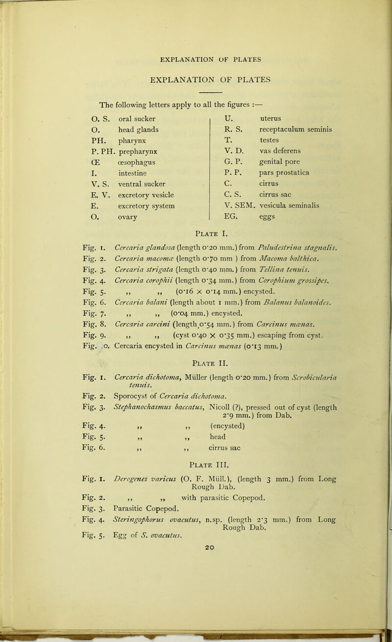 EXPLANATION OF PLATES EXPLANATION OF PLATES The following letters apply to all the figures :— O. S. oral sucker 0. head glands PH. pharynx P. PH. prepharynx CE oesophagus 1. intestine V. S. ventral sucker E. V. excretory vesicle E. excretory system O. ovary U. uterus R. S. receptaculum seminls T. testes V. D. vas deferens G. P. genital pore P. P. pars prostatica C. cirrus C. S. cirrus sac V. SEM. vesicula seminalis EG. eggs Fig. I. Fig. 2. Fig. 3- Fig. 4. Fig. 5- Fig. 6. Fig. 7. Fig. 8. Fig. 9- Fig. o. Fig. I. Fig. 2. Fig. 3- Fig. 4. Fig. 5- Fig. 6. Fig. I. Fig. 2. Fig. 3- Fig. 4- Fig. 5- Plate I. Cercaria glandosa {length o'20 mm.) from Paludestrina stagnalis. Cercaria inacoma (length 0‘7o mm ) from Macoma balthica. Cercaria strigata (length 0^40 mm.) from Tellina tenuis. Cercaria corophii (length 0'34 mm.) from Corophinm grossipcs. ,, ,, (0’l6 X o'14 mm.) encysted. Cercaria balani (length about l mm.) from Balaniis balanoides. ,, ,, (0'04 mm.) encysted. Cercaria carcitii (length_o'54 mm.) from Carcimis mcenas. ,, ,, (cyst 0'40 X 0'35 mm.) escaping from cyst. Cercaria encysted in Carcimis mcenas (0T3 mm.) Plate II. Cercaria dichotofna, Muller (length 0'20 mm.) from Scrobicularia tenuis. Sporocyst of Cercaria dickotoma. Stephanochasmus baccatus, Nicoll (?), pressed out of cyst (length 2'9 mm.) from Dab. ,, ,, (encysted) j) ,, head ,, ,, cirrus sac Plate HI. Derogenes varicus (O. F. Mull.), (length 3 mm.) from Long Rough Dab. ,, ,, with parasitic Copepod. Parasitic Copepod. Steringophorus ovacutus, n.sp. (length 2’3 mm.) from Long Rough Dab. Egg of .9. ovacutus.