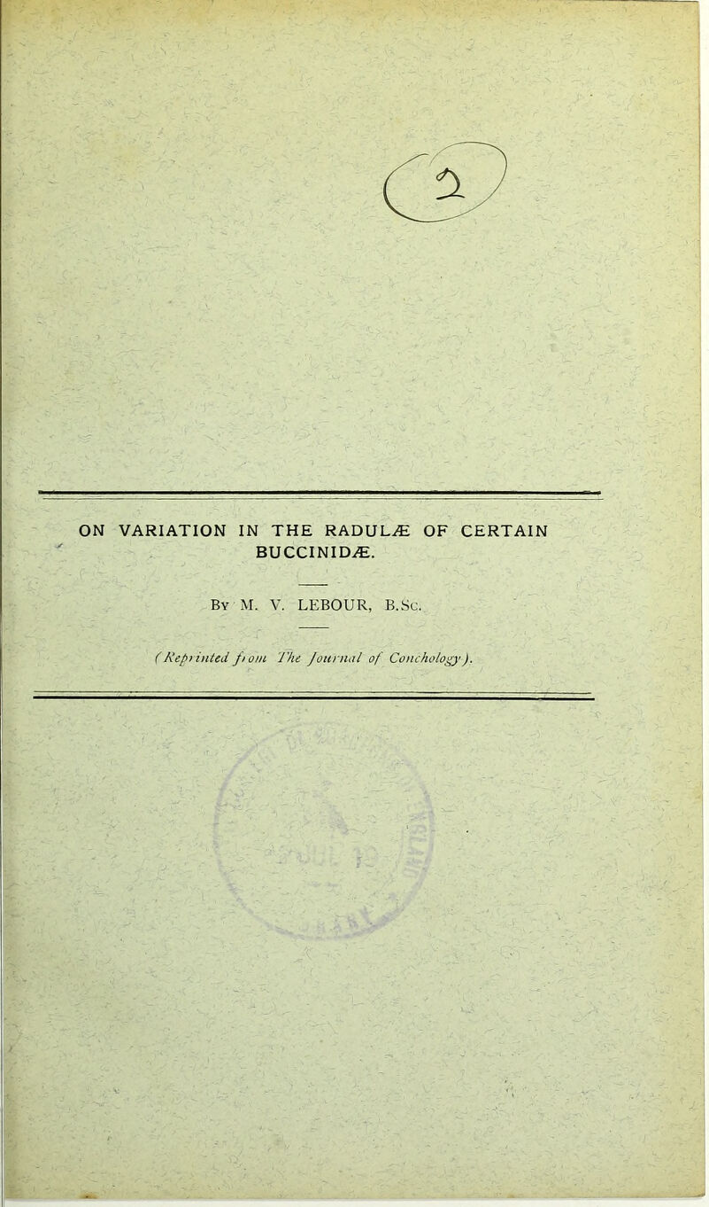 BUCCINIDiE. By M. V. LEBOUR, B.Sc.