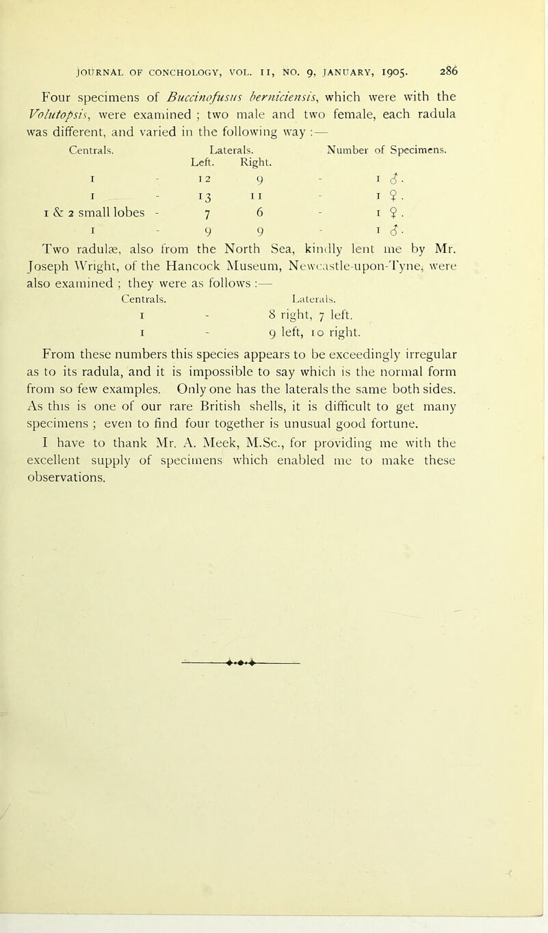 Four specimens of Buccinofusus I’erniciensis, which were with the Volufopsis, were examined ; two male and two female, each radula was different, and varied in the following way :— Centrals. Laterals. Left. Right. Number of Specimens. I I 2 9 * S • I 13 11 I ?. I & 2 small lobes - 7 6 I ?. I 9 9 I d- Two radul?e, also from the North Sea, kindly lent me by Mr. Joseph Wright, of the Hancock Museum, Newcastle-upon-'l'ynej were also examined ; they were as follows :— Centrals. Laterals. I - 8 right, 7 left. 1-9 left, 10 right. From these numbers this species appears to be exceedingly irregular as to its radula, and it is impossible to say which is the normal form from so few examples. Only one has the laterals the same both sides. As this is one of our rare British shells, it is difficult to get many specimens ; even to find four together is unusual good fortune. I have to thank Mr. A. Meek, M.Sc., for providing me with the e.xcellent supply of specimens which enabled me to make these observations.