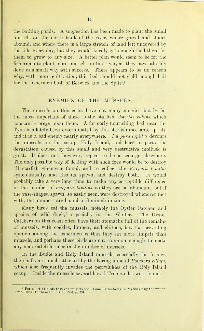 the bathing ponds. A suggestion has been made to plant the small mussels on the north bank of the river, where gravel and stones abound, and where there is a large stretch of land left uncovered by the tide every day, but they would hardly get enough food there for them to grow to any size. A better plan would seem to be for the fishermen to plant more mussels up the river, as they have already done in a small way with success. There appears to be no reason why, with more cultivation, this bed should not yield enough bait for the fishermen both of Berwick and the Spittal. ENEMIES OF THE MUSSELS. The mussels on this coast have not many enemies, but by far the most important of these is the starfish, Asterias rubens, which constantly preys upon them. A formerly flourishing bed near the Tyne has lately been exterminated by this starfish (see ante p. 4), and it is a bad enemy nearly everywhere. Purpura lapillus devours the mussels on the scaup, Holy Island, and here in parts the devastation caused by this small and very destructive mollusk is great. It does not, however, appear to be a scourge elsewhere. The only possible way of dealing with such foes would be to destroy all starfish whenever found, and to collect the Purpura lapillus systematically, and also its spawn, and destroy both. It would probably take a very long time to make any perceptible difference in the number of Purpura lapillus, as they are so abundant, but if the vase-sliaped spawn, so easily seen, were destroyed whenever met with, the numbers are bound to diminish in time. Many birds eat the mussels, notably the Oyster Catcher and species of wild duck,* especially in the Winter. The Oyster Catchers on this coast often have their stomachs full of the remains of mussels, with cockles, limpets, and chitons, but the prevailing- opinion among the fishermen is that they eat more limpets than mussels, and perhaps these birds are not common enough to make any material difference in the number of mussels. In the Budle and Holy Island mussels, especially the former, the shells are much attacked by the boring annelid Puhjdora ciliata, which also frequently invades the periwinkles of the Holy Island scaup. Inside the mussels several larval Trematodes were found. * For a list of birds that eat mussels see “Some Trematodes in Mjtilus,” by the writer. Proc. Univ. Durham Phil. Soc., 1906, p. 231.