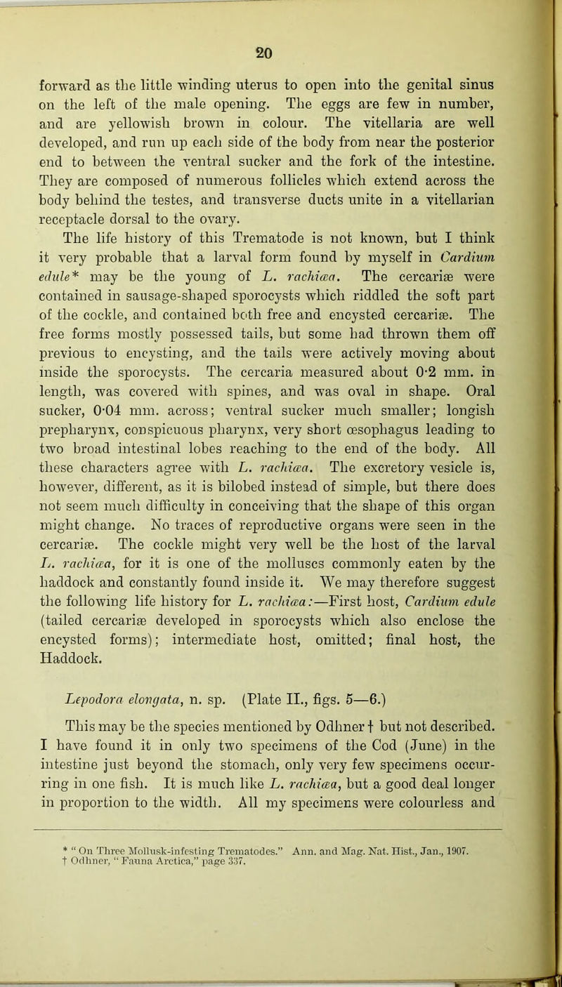 forward as tlie little winding uterus to open into tlie genital sinus on the left of the male opening. The eggs are few in number, and are yellowish brown in colour. The vitellaria are well developed, and run up each side of the body from near the posterior end to between the ventral sucker and the fork of the intestine. They are composed of numerous follicles which extend across the body behind the testes, and transverse ducts unite in a vitellarian receptacle dorsal to the ovary. The life history of this Trematode is not known, but I think it very probable that a larval form found by myself in Cardium edule* may be the young of L. rachiaa. The cercariae were contained in sausage-shaped sporocysts which riddled the soft part of the cockle, and contained both free and encysted cercarite. The free forms mostly possessed tails, but some had thrown them off previous to encysting, and the tails were actively moving about inside the sporocysts. The cercaria measured about 0-2 mm. in length, was covered with spines, and was oval in shape. Oral sucker, 004 mm. across; ventral sucker much smaller; longish prepharynx, conspicuous pharynx, very short oesophagus leading to two broad intestinal lobes reaching to the end of the body. All these characters agree with L. rachiaa. The excretory vesicle is, however, different, as it is bilobed instead of simple, but there does not seem much difficulty in conceiving that the shape of this organ might change. No traces of reproductive organs were seen in the cercariae. The cockle might very well be the host of the larval L. rachiaa, for it is one of the molluscs commonly eaten by the haddock and constantly found inside it. We may therefore suggest the following life history for L. rachiaa:—First host, Cardiuui edule (tailed cercarise developed in sporocysts which also enclose the encysted forms); intermediate host, omitted; final host, the Haddock. Lepodora elongata, n. sp. (Plate II., figs. 5—6.) This may be the species mentioned by Odliner f but not described. I have found it in only two specimens of the Cod (June) in the intestine just beyond the stomach, only very few specimens occur- ring in one fish. It is much like L. rachiaa, but a good deal longer in proportion to the width. All my specimens were colourless and * “ On Three Molhisk-infesting Trematodes.” Ann. and Mag. Nat. Hist., Jan., 1907. t Odliner, “ Fauna Arctica,” page 337.