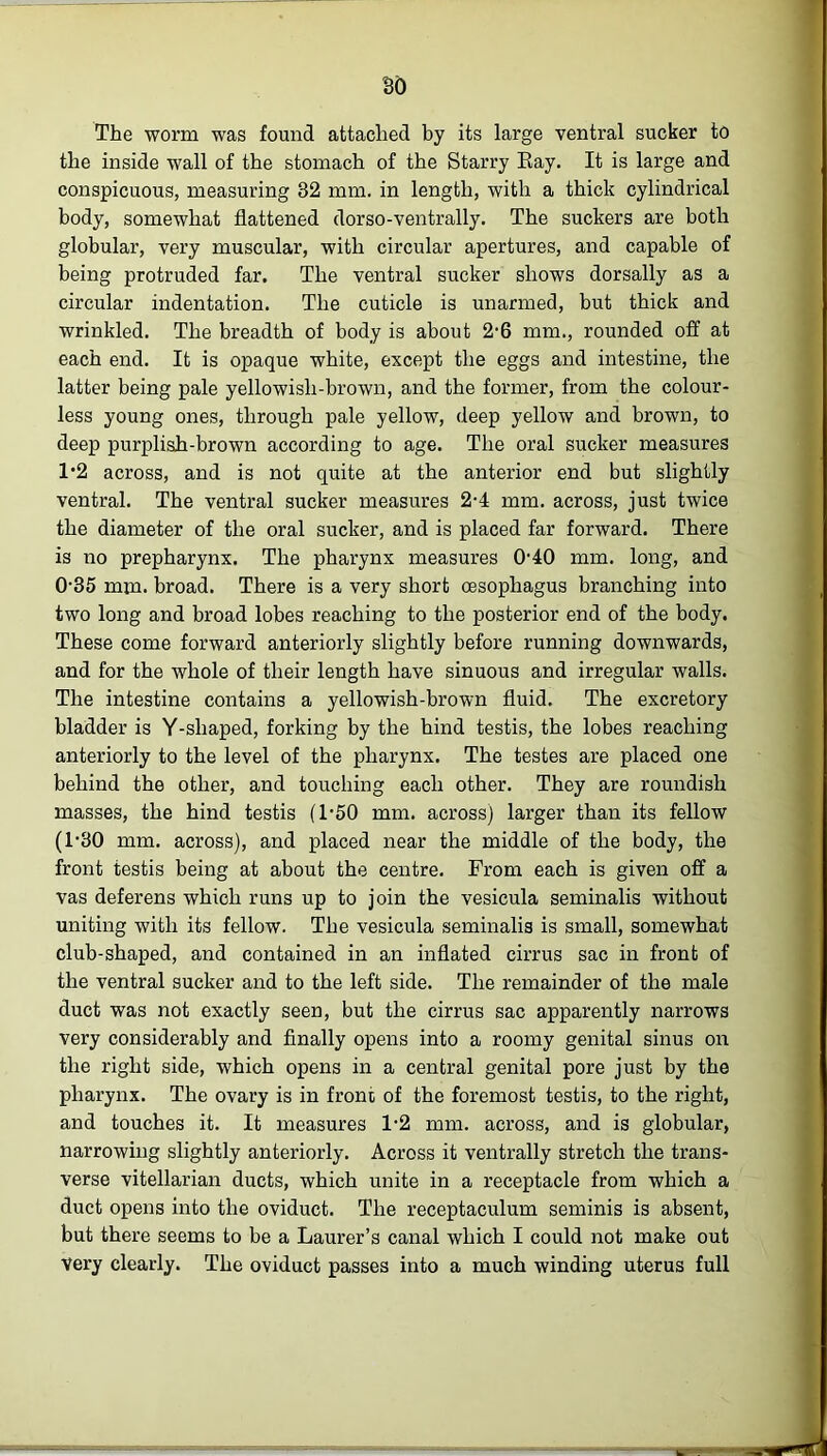 The worm was found attached by its large ventral sucker to the inside wall of the stomach of the Starry Bay. It is large and conspicuous, measuring 32 mm. in length, with a thick cylindrical body, somewhat flattened dorso-ventrally. The suckers are both globular, very muscular, with circular apertures, and capable of being protruded far. The ventral sucker shows dorsally as a circular indentation. The cuticle is unarmed, but thick and wrinkled. The breadth of body is about 2-6 mm., rounded off at each end. It is opaque white, except the eggs and intestine, the latter being pale yellowish-brown, and the former, from the colour- less young ones, through pale yellow, deep yellow and brown, to deep purplish-brown according to age. The oral sucker measures 1*2 across, and is not quite at the anterior end but slightly ventral. The ventral sucker measures 2-4 mm. across, just twice the diameter of the oral sucker, and is placed far forward. There is no prepharynx. The pharynx measures 0‘40 mm. long, and 0-35 mm. broad. There is a very short oesophagus branching into two long and broad lobes reaching to the posterior end of the body. These come forward anteriorly slightly before running downwards, and for the whole of their length have sinuous and irregular walls. The intestine contains a yellowish-brown fluid. The excretory bladder is Y-shaped, forking by the hind testis, the lobes reaching anteriorly to the level of the pharynx. The testes are placed one behind the other, and touching each other. They are roundish masses, the hind testis (1*50 mm. across) larger than its fellow (1-30 mm. across), and placed near the middle of the body, the front testis being at about the centre. From each is given off a vas deferens which runs up to join the vesicula seminalis without uniting with its fellow. The vesicula seminalis is small, somewhat club-shaped, and contained in an inflated cirrus sac in front of the ventral sucker and to the left side. The remainder of the male duct was not exactly seen, but the cirrus sac apparently narrows very considerably and finally opens into a roomy genital sinus on the right side, which opens in a central genital pore just by the pharynx. The ovary is in from of the foremost testis, to the right, and touches it. It measures 1-2 mm. across, and is globular, narrowing slightly anteriorly. Across it ventrally stretch the trans- verse vitellarian ducts, which unite in a receptacle from which a duct opens into the oviduct. The receptaculum seminis is absent, but there seems to be a Laurer’s canal which I could not make out Very clearly. The oviduct passes into a much winding uterus full