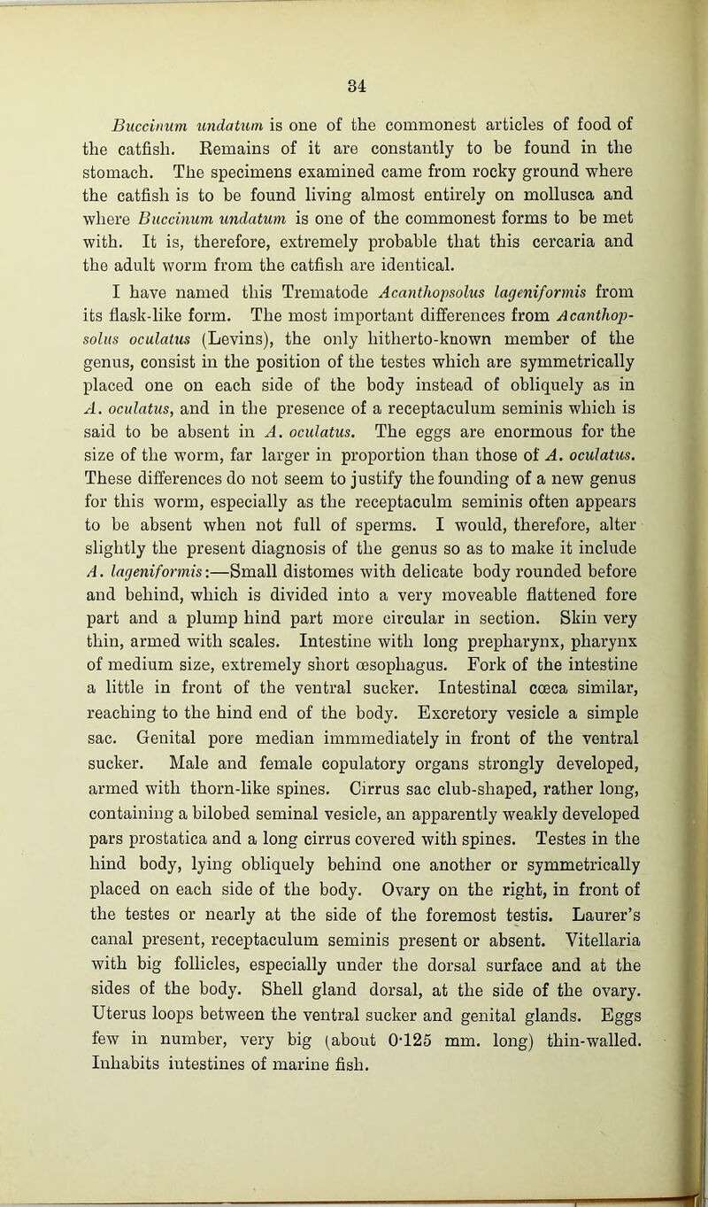 Buccinum undaUim is one of the commonest articles of food of the catfish. Kemains of it are constantly to be found in the stomach. The specimens examined came from rocky ground where the catfish is to be found living almost entirely on mollusca and where Buccinum undatum is one of the commonest forms to be met with. It is, therefore, extremely probable that this cercaria and the adult worm from the catfish are identical. I have named this Trematode Acanthopsolus lageniformis from its flask-like form. The most important differences from Acanthop- solus oculatus (Levins), the only hitherto-known member of the genus, consist in the position of the testes which are symmetrically placed one on each side of the body instead of obliquely as in A. oculatus, and in the presence of a receptaculum seminis which is said to be absent in A. oculatus. The eggs are enormous for the size of the worm, far larger in proportion than those of A. oculatus. These differences do not seem to justify the founding of a new genus for this worm, especially as the receptaculm seminis often appears to be absent when not full of sperms. I would, therefore, alter slightly the present diagnosis of the genus so as to make it include A. lageniformis:—Small distomes with delicate body rounded before and behind, which is divided into a very moveable flattened fore part and a plump hind part more circular in section. Skin very thin, armed with scales. Intestine with long prepharynx, pharynx of medium size, extremely short oesophagus. Fork of the intestine a little in front of the ventral sucker. Intestinal coeca similar, reaching to the hind end of the body. Excretory vesicle a simple sac. Genital pore median immmediately in front of the ventral sucker. Male and female copulatory organs strongly developed, armed with thorn-like spines. Cirrus sac club-shaped, rather long, containing a bilobed seminal vesicle, an apparently weakly developed pars prostatica and a long cirrus covered with spines. Testes in the hind body, lying obliquely behind one another or symmetrically placed on each side of the body. Ovary on the right, in front of the testes or nearly at the side of the foremost testis. Laurer’s canal present, receptaculum seminis present or absent. Vitellaria with big follicles, especially under the dorsal surface and at the sides of the body. Shell gland dorsal, at the side of the ovary. Uterus loops between the ventral sucker and genital glands. Eggs few in number, very big (about 0’125 mm. long) thin-walled. Inhabits intestines of marine fish.