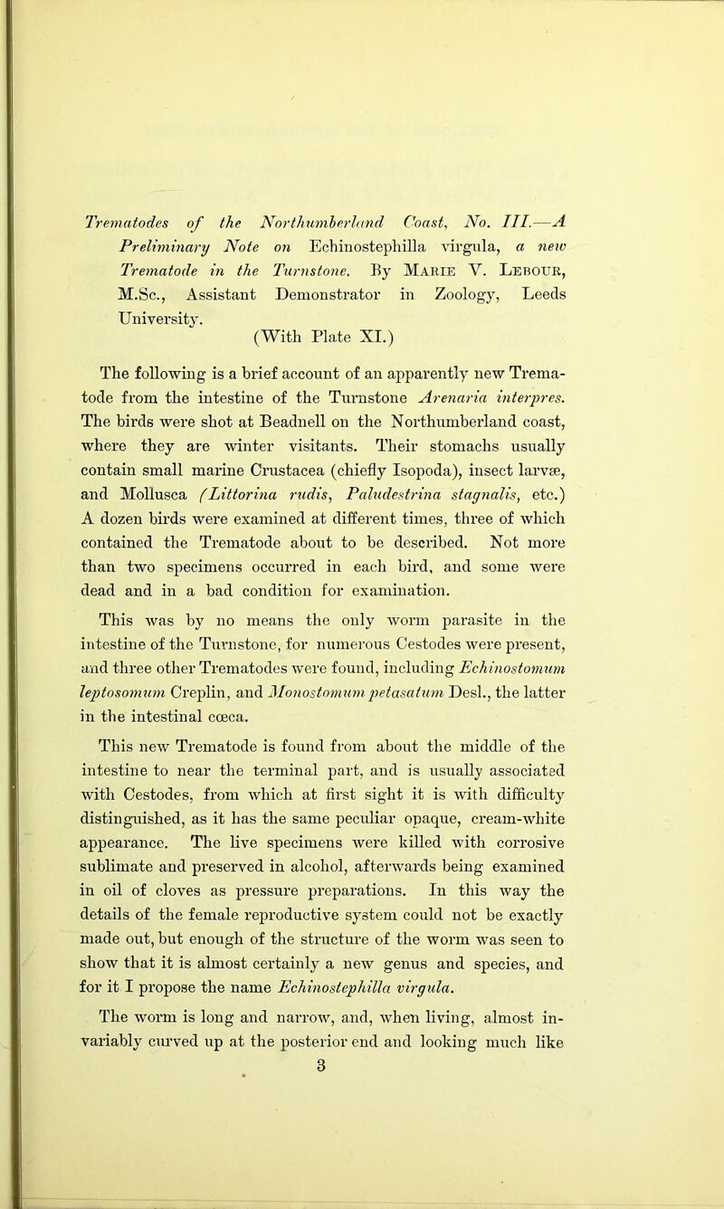 Trematodes of the Northumherland Coast, No. III.—A Preliminary Note on Echinostephilla virgula, a new Trematode in the Turnstone. By Marie V. Lebour, M.Sc., Assistant Demonstrator in Zoology, Leeds University. (With Plate XI.) The following is a brief account of an apparently new Trema- tode from the intestine of the Turnstone Arenaria interpres. The birds were shot at Beadnell on the Northumberland coast, where they are winter visitants. Their stomachs usually contain small maidne Crustacea (chiefly Isopoda), insect larvse, and Mollusca (Littorina rudis, Paludestrina stagnalis, etc.) A dozen birds were examined at different times, three of which contained the Trematode about to be described. Not more than two specimens occurred in each bird, and some Avere dead and in a bad condition for examination. This Avas by no means the only Avorm parasite in the intestine of the Tunistone, for numerous Cestodes Avere present, and three other Trematodes Avere found, including Echinostonmm leptosomum Creplin, and Monostonmnipetasatum Desl., the latter in the intestinal cceca. This neAv Trematode is found from about the middle of the intestine to near the terminal part, and is usually associated Avith Cestodes, from Avhich at first sight it is Avith difficulty distinguished, as it has the same peculiar opaque, cream-Avhite appearance. The live specimens Avere killed Avith corrosi\'e sublimate and preserved in alcohol, afteiwards being examined in oil of cloves as pressure preparations. In this Avay the details of the female reproductive system could not be exactly made out, but enough of the structure of the worm was seen to show that it is almost certainly a new genus and species, and for it I propose the name Echinostephilla virgula. The Avorm is long and narroAV, and, Avhen living, almost in- variably curved up at the posterior end and looking much like