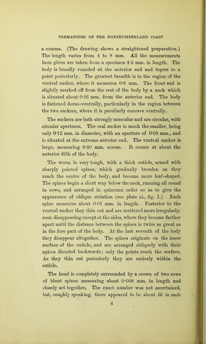 a comma. (The drawing shows a straightened preparation.) The length varies from 4 to 8 mm. All the measurements here given are taken from a specimen 4’5 mm. in length. The body is broadly rounded at the anterior end and tapers to a point posteriorly. The greatest breadth is in the region of the ventral sucker, where it measures 0'6 mm. The front end is slightly marked off from the rest of the body by a neck which is situated about 046 mm. from the anterior end. The body is flattened dorso-ventrally, particularly in the region between the two suckers, where it is peculiarly concave ventrally. The suckers are both strongly muscular and are circular, with circular apertures. The oral sucker is much the smaller, being only 0T2 mm. in diameter, with an aperture of 0'08 mm., and is situated at the extreme anterior end. The ventral sucker is large, measuring 0‘40 mm. across. It occurs at about the anterior fifth of the body. The worm is very tough, with a thick cuticle, armed with sharply pointed spines, which gradually broaden as they reach the centre of the body, and become more leaf-shaped. The spines begin a short way below the neck, running all round in rows, and arranged in quincunx order so as to give the appearance of obhque striation (see plate xi., fig. 1.) Each spine measures about 0 01 mm. in length. Posterior to the ventral sucker they thin out and are scattered more irregularly, soon disappearing except at the sides, where they become farther apart until the distance between the spines is twice as great as in the fore part of the body. At the last seventh of the body they disappear altogether. The spines originate on the inner surface of the cuticle, and are arranged obliquely with their apices directed backwards; only the points reach the surface. As they thin out posteriorly they are entirely within the cuticle. The head is completely surrounded by a crown of two rows of blunt spines measuring about O'008 mm. in length and closely set together. The exact number was not ascertained, but, roughly speaking, there appeared to be about 56 in each