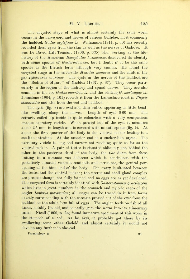 The encysted stage of what is almost certainly the same worm occurs in the nerve cord and nerves of various Gadidae, most commonly the haddock Gadus aeglefinus L. Williamson (1911, p. 60) has recently recorded these cysts from the skin as well as the nerves of Gadidae. It was Dr David Hilt Tennant (1906, p. 635) who, working at the life- history of the American Bucephalus haimeanus, discovered its identity with some species of 0asterostomum, but I doubt if it be the same species as the British form although very similar. He found the encysted stage in the silverside Menidia menidia and the adult in the gar Tylosaurus lyiarinus. The cysts in the nerves of the haddock are the “Bodies of Munro” of Maddox (1867, p. 87). They occur parti- cularly in the region of the auditory and spinal nerves. They are also common in the cod Gadus morrhua L., and the whiting G. merlangus L., Johnstone (1904, p. 101) records it from the Lancashire coast in Phycis hlennioides and also from the cod and haddock. The cysts (fig. 3) are oval and thin-walled appearing as little bead- like swellings along the nerves. Length of cyst 0’60 mm. The cercaria coiled up inside is quite colourless with a very conspicuous opaque excretory vesicle. When pressed out of the cyst it measures about 2'5 mm. in length and is covered with minute spines (fig. 4). At about the first quarter of the body is the ventral sucker leading to a sac-like intestine. At the anterior end is a sucker-like organ. The excretory vesicle is long and narrow not reaching quite so far as the ventral sucker. A pair of testes is situated obliquely one behind the other in the posterior third of the body, the two ducts from these uniting in a common vas deferens which is continuous with the posteriorly situated vesicula seminalis and cirrus sac, the genital pore opening at the hind end of the body. The ovary is situated between the testes and the ventral sucker; the uterus and shell gland complex are present though not fully formed and no eggs are as yet developed. This encysted form is certainly identical with Gasterostomum gracilescens which lives in great numbers in the stomach and pyloric caeca of the angler Lophius piscatorius; all stages can be traced in it from forms exactly corresponding with the cercaria pressed out of the cyst from the haddock to the adult form full of eggs. The angler feeds on fish of all kinds, notably Gadoid, and so easily gets the worm into its alimentary canal. Nicoll (1909, p. 24) found immature specimens of this worm in the stomach of a cod. As he says, it probably got there by its swallowing some other Gadoid, and almost certainly it would not develop any further in the cod. Parasitology iv 28