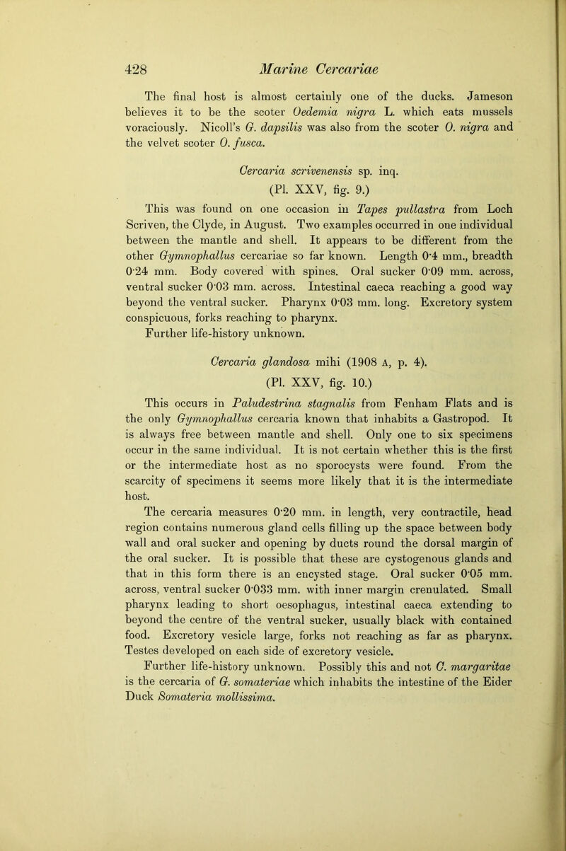 The final host is almost certainly one of the ducks. Jameson believes it to be the scoter Oedemia nigra L. which eats mussels voraciously. Nicoll’s 0. dapsilis was also from the scoter 0. nigra and the velvet scoter 0. fusca. Cercaria scrivenensis sp. inq. (PI. XXV, fig. 9.) This w'as found on one occasion in Tapes pullastra from Loch Scriven, the Clyde, in August. Two examples occurred in one individual between the mantle and shell. It appears to be different from the other Oymnophallus cercariae so far known. Length 04 mm., breadth 0'24 mm. Body covered with spines. Oral sucker 0'09 mm. across, ventral sucker 0'03 mm. across. Intestinal caeca reaching a good way beyond the ventral sucker. Pharynx 0'03 mm. long. Excretory system conspicuous, forks reaching to pharynx. Further life-history unknown, Cercaria glandosa mihi (1908 A, p. 4). (PI. XXV, fig. 10.) This occurs in Paludestrina stagnalis from Fenham Flats and is the only Gymnophallus cercaria known that inhabits a Gastropod. It is always free between mantle and shell. Only one to six specimens occur in the same individual. It is not certain whether this is the first or the intermediate host as no sporocysts were found. From the scarcity of specimens it seems more likely that it is the intermediate host. The cercaria measures 0’20 mm. in length, very contractile, head region contains numerous gland cells filling up the space between body wall and oral sucker and opening by ducts round the dorsal margin of the oral sucker. It is possible that these are cystogenous glands and that in this form there is an encysted stage. Oral sucker 0‘05 mm. across, ventral sucker 0’033 mm. with inner margin crenulated. Small pharynx leading to short oesophagus, intestinal caeca extending to beyond the centre of the ventral sucker, usually black with contained food. Excretory vesicle large, forks not reaching as far as pharynx. Testes developed on each side of excretory vesicle. Further life-history unknown. Possibly this and not G. margaritae is the cercaria of G. somateriae which inhabits the intestine of the Eider Duck Somateria mollissima.