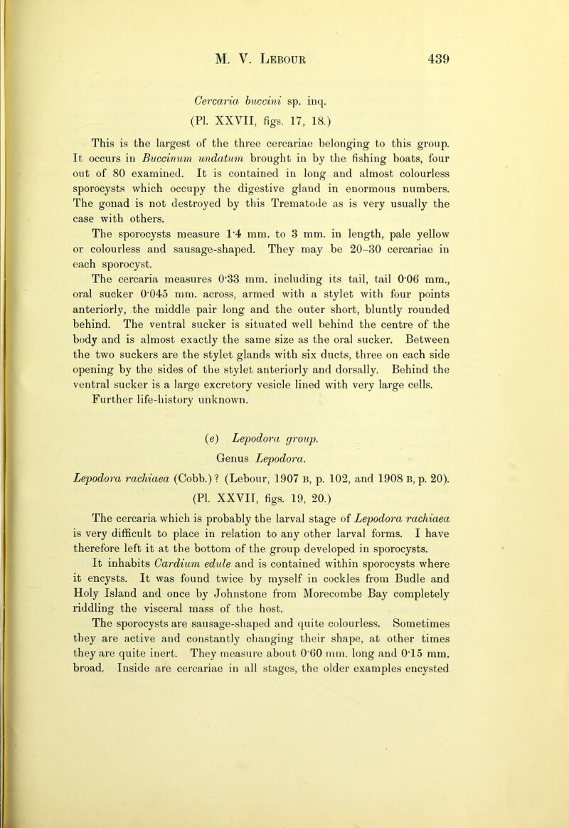 Gercaria huccini sp. inq. (PI. XXVII, figs. 17, 18.) This is the largest of the three cercariae belonging to this group. It occurs in Buccinum undatum brought in by the fishing boats, four out of 80 examined. It is contained in long and almost colourless sporocysts which occupy the digestive gland in enormous numbers. The gonad is not destroyed by this Trematode as is very usually the case with others. The sporocysts measure 1'4 mm. to 3 mm. in length, pale yellow or colourless and sausage-shaped. They may be 20-30 cercariae in each sporocyst. The cercaria measures 0’33 mm. including its tail, tail 0‘06 mm., oral sucker 0'045 mm. across, armed with a stylet with four points anteriorly, the middle pair long and the outer short, bluntly rounded behind. The ventral sucker is situated well behind the centre of the body and is almost exactly the same size as the oral sucker. Between the two suckers are the stylet glands with six ducts, three on each side opening by the sides of the stylet anteriorly and dorsally. Behind the ventral sucker is a large excretory vesicle lined with very large cells. Further life-history unknown. (e) Lepodora group. Genus Lepodora. Lepodora rachiaea (Cobb.) ? (Lebour, 1907 B, p. 102, and 1908 B, p. 20). (PI. XXVII, figs. 19, 20.) The cercaria which is probably the larval stage of Lepodora rachiaea is very difficult to place in relation to any other larval forms. I have therefore left it at the bottom of the group developed in sporocysts. It inhabits Gardium edule and is contained within sporocysts where it encysts. It was found twice by myself in cockles from Budle and Holy Island and once by Johnstone from Morecombe Bay completely riddling the visceral mass of the host. The sporocysts are sausage-shaped and quite colourless. Sometimes they are active and constantly changing their shape, at other times they are quite inert. They measure about 0’60 mm. long and 0T5 mm. broad. Inside are cercariae in all stages, the older examples encysted