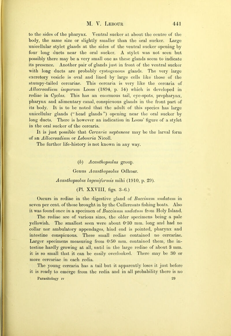 to the sides of the pharynx. Ventral sucker at about the centre of the body, the same size or slightly smaller than the oral sucker. Large unicellular stylet glands at the sides of the ventral sucker opening by four long ducts near the oral sucker. A stylet was not seen but possibly there may be a very small one as these glands seem to indicate its presence. Another pair of glands just in front of the ventral sucker with long ducts are probably cystogenous glands. The very large excretory vesicle is oval and lined by large cells like those of the stumpy-tailed cercariae. This cercaria is very like the cercaria of Allocreadium isoporum Looss (1894, p. 54) which is developed in rediae in Cyclas. This has an enormous tail, eye-spots, prepharynx, pharynx and alimentary canal, conspicuous glands in the front part of its body. It is to be noted that the adult of this species has large unicellular glands (“ head glands ”) opening near the oral sucker by long ducts. There is however an indication in Looss’ figure of a stylet in the oral sucker of the cercaria. It is just possible that Cercaria neptuneae may be the larval form of an Allocreadium or Lebouria Nicoll. The further life-history is not known in any way. (b) Acanthopsolus group. Genus Acanthopsolus Odhner. Acanthopsolus lageniformis mihi (1910, p. 29). (PI. XXVIII, figs. 3-6.) Occurs in rediae in the digestive gland of Buccinum undatum in seven per cent, of those brought in by the Cullercoats fishing boats. Also it was found once in a specimen of Buccinum undatum from Holy Island. The rediae are of various sizes, the older specimens being a pale yellowish. The smallest seen were about 0'30 mm. long and had no collar nor ambulatory appendages, hind end is pointed, pharynx and intestine conspicuous. These small rediae contained no cercariae. Larger specimens measuring from 0'50 mm. contained them, the in- testine hardly growing at all, until in the large rediae of about 3 mm. it is so small that it can be easily overlooked. There may be 30 or more cercariae in each redia. The young cercaria has a tail but it apparently loses it just before it is ready to emerge from the redia and in all probability there is no Parasitology iv 29