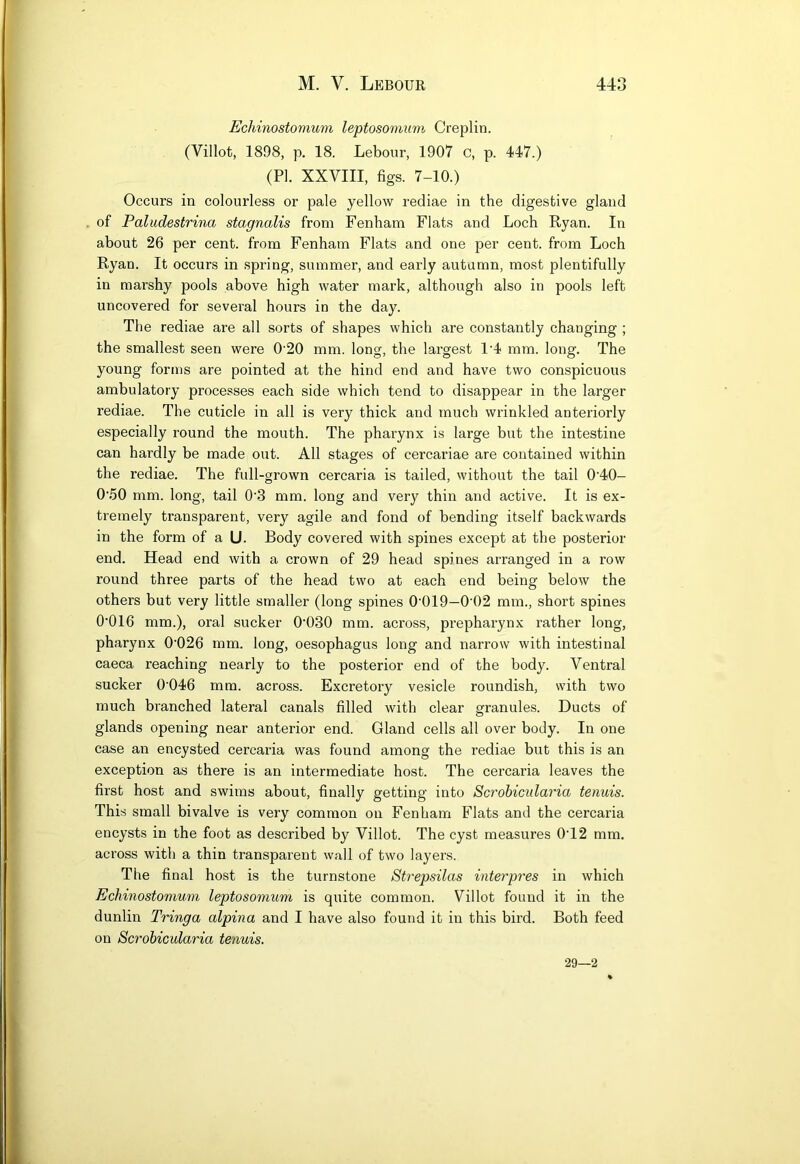 Echinostomum leptosomum Creplin. (Villot, 1898, p. 18. Lebour, 1907 c, p. 447.) (PI. XXVIII, figs. 7-10.) Occurs in colourless or pale yellow rediae in the digestive gland of Paludestrina stagnalis from Fenham Flats and Loch Ryan. In about 26 per cent, from Fenham Flats and one per cent, from Loch Ryan. It occurs in spring, summer, and early autumn, most plentifully in marshy pools above high water mark, although also in pools left uncovered for several hours in the day. The rediae are all sorts of shapes which are constantly changing ; the smallest seen were 0 20 mm. long, the largest 1‘4 mm. long. The young forms are pointed at the hind end and have two conspicuous ambulatory processes each side which tend to disappear in the larger rediae. The cuticle in all is very thick and much wrinkled anteriorly especially round the mouth. The pharynx is large but the intestine can hardly be made out. All stages of cercariae are contained within the rediae. The full-grown cercaria is tailed, without the tail 0‘40- 0'50 mm. long, tail 0‘3 mm. long and very thin and active. It is ex- tremely transparent, very agile and fond of bending itself backwards in the form of a U. Body covered with spines except at the posterior end. Head end with a crown of 29 head spines arranged in a row round three parts of the head two at each end being below the others but very little smaller (long spines 0‘019—0'02 mm., short spines 0‘016 mm.), oral sucker 0‘030 mm. across, prepharynx rather long, pharynx 0'026 mm. long, oesophagus long and narrow with intestinal caeca reaching nearly to the posterior end of the body. Ventral sucker 0’046 mm. across. Excretory vesicle roundish, with two much branched lateral canals filled with clear granules. Ducts of glands opening near anterior end. Gland cells all over body. In one case an encysted cercaria was found among the rediae but this is an exception as there is an intermediate host. The cercaria leaves the first host and swims about, finally getting into Scrohiculai'ia tenuis. This small bivalve is very common on Fenham Flats and the cercaria encysts in the foot as described by Villot. The cyst measures 0'12 mm. across with a thin transparent wall of two layers. The final host is the turnstone Strepsilas interpres in which Echinostomum leptosomum is quite common. Villot found it in the dunlin Tringa alpina and I have also found it in this bird. Both feed on Scrobicularia tenuis. 29—2