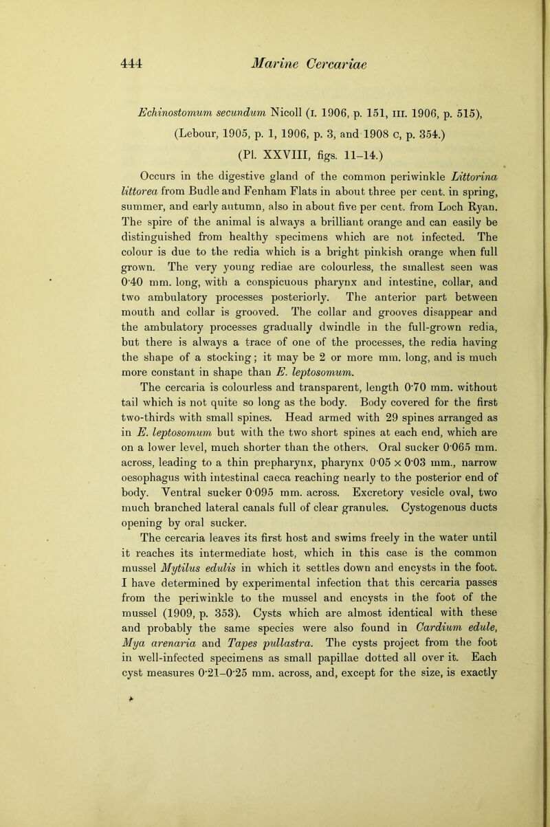 Echinostomum secundum Nicoll (l. 1906, p. 151, ill. 1906, p. 615), (Lebour, 1905, p. 1, 1906, p. 3, and 1908 c, p. 354.) (PI. XXVIII, figs. 11-14.) Occurs in the digestive gland of the common periwinkle Littorina littorea from Budle and Fenham Flats in about three per cent, in spring, summer, and early autumn, also in about five per cent, from Loch Ryan. The spire of the animal is always a brilliant orange and can easily be distinguished from healthy specimens which are not infected. The colour is due to the redia which is a bright pinkish orange when full grown. The very young rediae are colourless, the smallest seen was 0'40 mm. long, with a conspicuous pharynx and intestine, collar, and two ambulatory processes posteriorly. The anterior part between mouth and collar is grooved. The collar and grooves disappear and the ambulatory processes gradually dwindle in the full-grown redia, but there is always a trace of one of the processes, the redia having the shape of a stocking; it may be 2 or more mm. long, and is much more constant in shape than E. leptosomum. The cercaria is colourless and transparent, length 0‘70 mrn. without tail which is not quite so long as the body. Body covered for the first two-thirds with small spines. Head armed with 29 spines arranged as in E. leptosomum but with the two short spines at each end, which are on a lower level, much shorter than the others. Oral sucker 0’065 mm. across, leading to a thin prepharynx, pharynx 0 05 x 0'03 mm., narrow oesophagus with intestinal caeca reaching nearly to the posterior end of body. Ventral sucker 0 095 mm. across. Excretory vesicle oval, two much branched lateral canals full of clear granules. Cystogenous ducts opening by oral sucker. The cercaria leaves its first host and swims freely in the water until it reaches its intermediate host, which in this case is the common mussel Mytilus edulis in which it settles down and encysts in the foot. I have determined by experimental infection that this cercaria passes from the periwinkle to the mussel and encysts in the foot of the mussel (1909, p. 353). Cysts which are almost identical with these and probably the same species were also found in Gardium edule, Mya arenaria and Tapes pidlastra. The cysts project from the foot in well-infected specimens as small papillae dotted all over it. Each cyst measures 0'21-0'25 mm. across, and, except for the size, is exactly *■