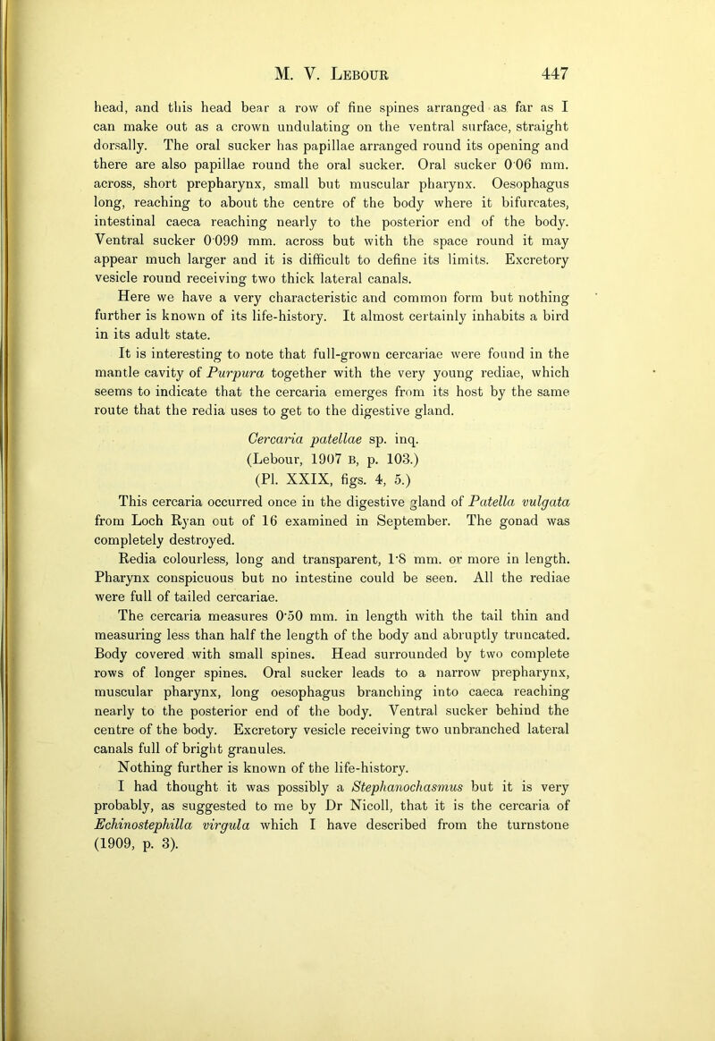 head, and this head bear a row of fine spines arranged as far as I can make out as a crown undulating on the ventral surface, straight dorsally. The oral sucker has papillae arranged round its opening and there are also papillae round the oral sucker. Oral sucker 0 06 mm. across, short prepharynx, small but muscular pharynx. Oesophagus long, reaching to about the centre of the body where it bifurcates, intestinal caeca reaching nearly to the posterior end of the body. Ventral sucker 0099 mm. across but with the space round it may appear much larger and it is difficult to define its limits. Excretory vesicle round receiving two thick lateral canals. Here we have a very characteristic and common form but nothing further is known of its life-history. It almost certainly inhabits a bird in its adult state. It is interesting to note that full-grown cercariae were found in the mantle cavity of Purpura together with the very young rediae, which seems to indicate that the cercaria emerges from its host by the same route that the redia uses to get to the digestive gland. Cercaria patellae sp. inq. (Lebour, 1907 B, p. 103.) (PI. XXIX, figs. 4, 5.) This cercaria occurred once in the digestive gland of Patella vulgata from Loch Ryan out of 16 examined in September. The gonad was completely destroyed. Redia colourless, long and transparent, I’S mm. or more in length. Pharynx conspicuous but no intestine could be seen. All the rediae were full of tailed cercariae. The cercaria measures 0‘50 mm. in length with the tail thin and measuring less than half the length of the body and abruptly truncated. Body covered with small spines. Head surrounded by two complete rows of longer spines. Oral sucker leads to a narrow prepharynx, muscular pharynx, long oesophagus branching into caeca reaching nearly to the posterior end of the body. Ventral sucker behind the centre of the body. Excretory vesicle receiving two unbranched lateral canals full of bright granules. Nothing further is known of the life-history. I had thought it was possibly a Stephanochasmus but it is very probably, as suggested to me by I)r Nicoll, that it is the cercaria of Echinostephilla virgula which I have described from the turnstone (1909, p. 3).
