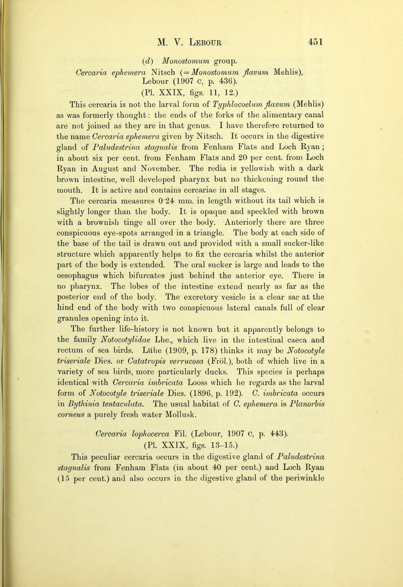 (d) Monostomum group. Gercaria ephemera Nitsch {—Monostomum flavum Mehlis), Lebour (1907 c, p. 436). (PI. XXIX, figs. 11, 12.) This cercaria is not the larval form of Typhlocoelum flavum (Mehlis) as was formerly thought: the ends of the forks of the alimentary canal are not joined as they are in that genus. I have therefore returned to the name Gercaria ephemera given by Nitsch. It occurs in the digestive gland of Paludestrina stagnalis from Fenham Flats and Loch Ryan ; in about six per cent, from Fenham Flats and 20 per cent, from Loch Ryan in August and November. The redia is yellowish with a dark brown intestine, well developed pharynx but no thickening round the mouth. It is active and contains cercariae in all stages. The cercaria measures 0 24 mm. in length without its tail which is slightly longer than the body. It is opaque and speckled with brown with a brownish tinge all over the body. Anteriorly there are three conspicuous eye-spots arranged in a triangle. The body at each side of the base of the tail is drawn out and provided with a small sucker-like structure which apparently helps to fix the cercaria whilst the anterior part of the body is extended. The oral sucker is large and leads to the oesophagus which bifurcates just behind the anterior eye. There is no pharynx. The lobes of the intestine extend nearly as far as the posterior end of the body. The excretory vesicle is a clear sac at the hind end of the body with two conspicuous lateral canals full of clear granules opening into it. The further life-history is not known but it apparently belongs to the family Notocotylidae Lhe., which live in the intestinal caeca and rectum of sea birds. Lithe (1909, p. 178) thinks it may be Notocotyle triseriale Dies, or Gatatropis verrucosa (Frol.), both of which live in a variety of sea birds, more particularly ducks. This species is perhaps identical with Gercaria imbricata Looss which he regards as the larval form of Notocotyle triseriale Dies. (1896, p. 192). G. imbricata occurs in Bythinia tentaculata. The usual habitat of G. ephemera is Planorbis corneus a purely fresh water Mollusk. Gercaria lophocerca Fil. (Lebour, 1907 C, p. 443). (PL XXIX, figs. 13-15.) This peculiar cercaria occurs in the digestive gland of Paludestrina stagnalis from Fenham Flats (in about 40 per cent.) and Loch Ryan (15 per cent.) and also occurs in the digestive gland of the periwinkle