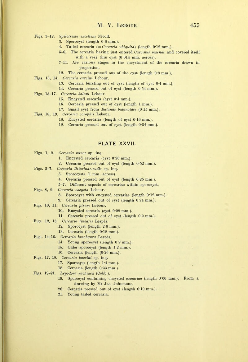 Figs. 3-12. Spelotrema excellens Nieoll. 3. Sporocyst (length 0’6 mm.). 4. Tailed cercaria (=Cercaria ubiquita) (length 0'12 mm.). 5-6. The cercaria having just entered Carcinus maenas and covered itself with a very thin cyst (0'014 mm. across). 7-11. Are various stages in the encystment of the cercaria drawn in proportion. 12. The cercaria pressed out of the cyst (length 0'8 mm.). Figs. 13, 14. Cercaria carcini Lebour. 13. Cercaria bursting out of cyst (length of cyst 0‘4 mm.). 14. Cercaria pressed out of cyst (length O’o4 mm.). Figs. 15-17. Cercaria balani Lebour. 15. Encysted cercaria (cyst 0’4 mm.). 16. Cercaria pressed out of cyst (length 1 mm.). 17. Small cyst from Balanus balanoides (0'15 mm.). Figs. 18, 19. Cercaria corophii Lebour. 18. Encysted cercaria (length of cyst 0'16 mm.). 19. Cercaria pressed out of cyst (length 0'34 mm.). PLATE XXVII. Figs. 1, 2. Cercaria minor sp. inq. 1. Encysted cercaria (cyst 0'26 mm.). 2. Cercaria pressed out of cyst (length 0‘52 mm.). Figs. 3-7. Cercaria littorinae-rudis sp. inq. 3. Sporocysts (1 mm. across). 4. Cercaria pressed out of cyst (length 0'25 mm.). 5-7. Different aspects of cercariae within sporocyst. Figs. 8, 9. Cercaria oocysta Lebour. 8. Sporocyst with encysted cercariae (length 0'12 mm.). 9. Cercaria pressed out of cyst (length 0-24 mm.). Figs. 10, 11. Cercaria pirutn Lebour. 10. Encysted cercaria (cyst 0'08 mm.). 11. Cercaria pressed out of cyst (length 0‘2 mm.). Figs. 12, 13. Cercaria linearis Lespes. 12. Sporocyst (length 2*6 mm.). 13. Cercaria (length 0-18 mm.). Figs. 14-16. Cercaria brachyui’a Lesp6s. 14. Young sporocyst (length 0'2 mm.). 15. Older sporocyst (length 1-2 mm.). 16. Cercaria (length (0-26 mm.). Figs. 17, 18. Cercaria buccini sp. inq. 17. Sporocyst (length 1-4 mm.). 18. Cercaria (length 0'33 mm.). Figs. 19-21. Lepodora rachiaea (Cobb.). 19. Sporocyst containing encysted cercariae (length 0‘60 mm.). From a drawing by Mr Jas. Johnstone. 20. Cercaria pressed out of cyst (length 0-19 mm.). 21. Young tailed cercaria.