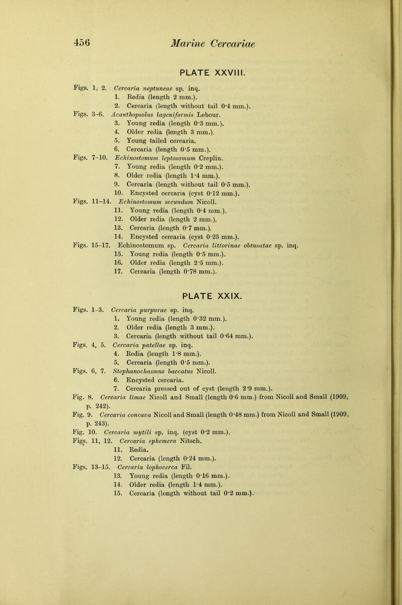 PLATE XXVIII. Figs. 1, 2. Cercaria neptuneae sp. inq. 1. Eedia (length 2 mm.). 2. Cercaria (length without tail 0'4 mm.). Figs. 3-6. Acanthopsohis lageniformis Lebour. 3. Young redia (length 0'3mm.). 4. Older redia (length 3 mm.). 5. Young tailed cercaria. 6. Cercaria (length O'o mm.). Figs. 7-10. Echinostomuni leptosoinum Creplin. 7. Young redia (length 0'2 mm.). 8. Older redia (length l'4mm.). 9. Cercaria (length without tail 0'5 mm.). 10. Encysted cercaria (cyst 0’12 mm.). Figs. 11-14. Echinostomuni secundum Nicoll. 11. Young redia (length 0‘4 mm.). 12. Older redia (length 2 mm.). 13. Cercaria (length 0'7 mm.). 14. Encysted cercaria (cyst 0-23 mm.). Figs. 15-17. Echinostomum sp. Cercaria littorinae ohtusatae sp. inq. 15. Young redia (length 0‘5 mm.). 16. Older redia (length 2'5 mm.). 17. Cercaria (length 0'78 mm.). PLATE XXIX. Figs. 1-3. Cercaria purpurae sp. inq. 1. Young redia (length 0'32 mm.). 2. Older redia (length 3 mm.). 3. Cercaria (length without tail 0'64 mm.). Figs. 4, 5. Cercaria patellae sp. inq. 4. Redia (length 1-8 mm.). 5. Cercaria (length 0'5 mm.). Figs. 6, 7. Stephanachasnms baccatus Nicoll. 6. Encysted cercaria. 7. Cercaria pressed out of cyst (length 2'9 mm.). Fig. 8. Cercaria limae Nicoll and Small (length 0-6 mm.) from Nicoll and Small (1909 p. 242). Fig. 9. Cercaria concava Nicoll and Small (length 0'48 mm.) from Nicoll and Small (1909 p. 243). Fig. 10. Cercaria mytili sp. inq. (cyst 0’2 mm.). Figs. 11, 12. Cercaria ephemera Nitseh. 11. Eedia. 12. Cercaria (length 0'24 mm.). Figs. 13-15. Cercaria lophocerca Fil. 13. Young redia (length 0‘16 mm.). 14. Older redia (length 1-4 mm.). 15. Cercaria (length without tail 0-2 mm.).