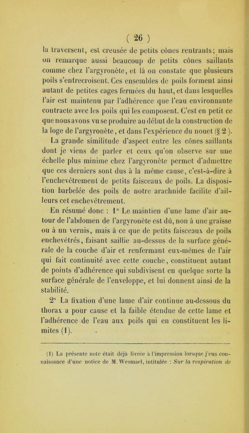 la traversent, est creusée de petits cônes rentrants; mais on remarque aussi beaucoup de petits cônes saillants comme chez l’argyronète, et là on constate que plusieurs poils s’entrecroisent. Ces ensembles de poils forment ainsi autant de petites cages fermées du haut, et dans lesquelles l’air est maintenu par l’adhérence que l’eau environnante contracte avec les poils qui les composent. C’est en petit ce que nous avons vu se produire au début de la construction de la loge de l’argyronète, et dans l’expérience du nouet (§ 2 ). La grande similitude d’aspect entre les cônes saillants dont je viens de parler et ceux qu’on observe sur une échelle plus minime chez l’argyronète permet d’admettre que ces derniers sont dus à la même cause, c’est-à-dire à l’enchevêtrement de petits faisceaux de poils. La disposi- tion barbelée des poils de notre arachnide facilite d’ail- leurs cet enchevêtrement. En résumé donc : 1° Le maintien d’une lame d’air au- tour de l’abdomen de l’argyronète est dû, non à une graisse ou à un vernis, mais à ce que de petits faisceaux de poils enchevêtrés, faisant saillie au-dessus de la surface géné- rale de la couche d’air et renfermant eux-mêmes de l’air qui fait continuité avec cette couche, constituent autant de points d’adhérence qui subdivisent en quelque sorte la surface générale de l’enveloppe, et lui donnent ainsi de la stabilité. 2° La fixation d’une lame d’air continue au-dessous du thorax a pour cause et la faible étendue de cette lame et l’adhérence de l’eau aux poils qui en constituent les li- mites (J). (1) La présente note était déjà livrée à l’impression lorsque j’eus con- naissance d’une notice de M. Wesmael, intitulée : Sur la respiration de