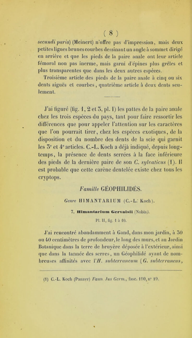 secundi paris) (Meinert) n’offre pas d’impression, mais deux petites lignes brunes courbes dessinant un angle à sommet dirigé en arrière et que les pieds de la paire anale ont leur article fémoral non pas inerme, mais garni d’épines plus grêles et plus transparentes que dans les deux autres especes. Troisième article des pieds de la paire anale à cinq ou six dents aiguës et courbes, quatrième article à deux dents seu- lement. J’ai (iguré (fig. 1,2 et 5, pl. I) les pattes de la paire anale chez les trois espèces du pays, tant pour faire ressortir les différences que pour appeler l’attention sur les caractères que l’on pourrait tirer, chez les espèces exotiques, de la disposition et du nombre des dents de la scie qui garnit les 5e et 4e articles. C.-L. Koch a déjà indiqué, depuis long- temps, la présence de dents serrées à la face inférieure des pieds de la dernière paire de son C. sylvaticus (1). 11 est probable que cette carène dentelée existe chez tous les cryplops. Famille GÉOPIIILIDÉS. Genre H1MANTARIUM (C.-L. Koch). 7. Himuntai-iiiiu Gcrvaisli (Nobis^. Pl. II, fig. 1 à 10. J’ai rencontré abondamment à Gand, dans mon jardin, à 30 ou 40 centimètres de profondeur,le long des murs, et au Jardin Botanique dans la terre de bruyère déposée à l’extérieur, ainsi que dans la tannée des serres, un Géophilidé ayant de nom- breuses affinités avec VIF. subterrancum (G. subterraneus, (1) C.-L. Koch (Panzer) Faun Jus Germ., fasc. 190, n” 19.