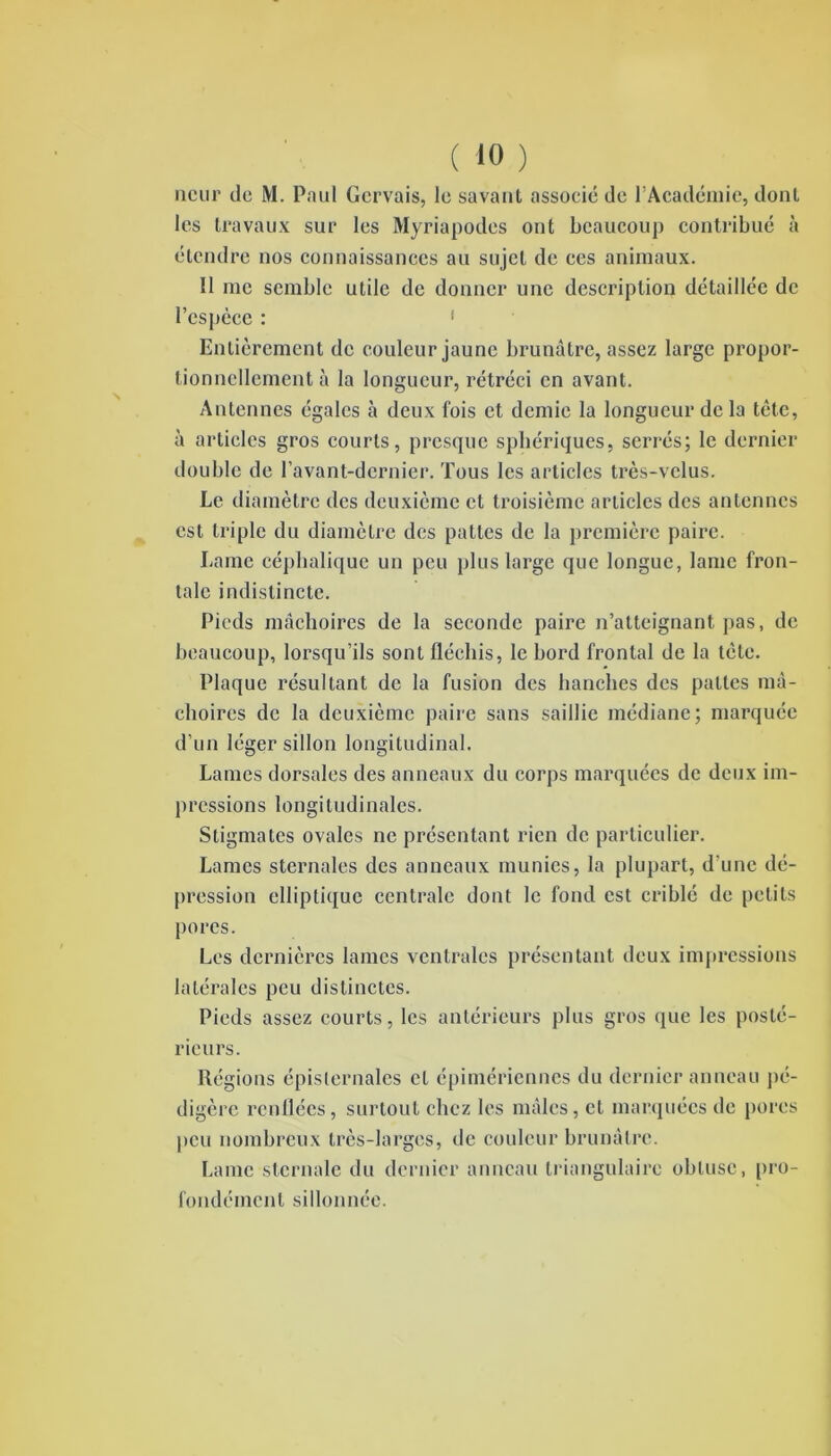 ncur de i\I. Paul Gervais, le savant assoeié de l’Académie, dont les travaux sur les Myriapodes ont beaucoup contribué à étendre nos connaissances au sujet de ces animaux. Il me semble utile de donner une description détaillée de l’espèce : 1 Entièrement de couleur jaune brunâtre, assez large propor- tionnellement à la longueur, rétréci en avant. Antennes égales à deux fois et demie la longueur de la tête, à articles gros courts, presque sphériques, serrés; le dernier double de l’avant-dernier. Tous les articles très-velus. Le diamètre des deuxième cl troisième articles des antennes est triple du diamètre des pattes de la première paire. Lame céphalique un peu plus large que longue, lame fron- tale indistincte. Pieds mâchoires de la seconde paire n’atteignant pas, de beaucoup, lorsqu’ils sont fléchis, le bord frontal de la tête. Plaque résultant de la fusion des hanches des pattes mâ- choires de la deuxième paire sans saillie médiane; marquée d’un léger sillon longitudinal. Lames dorsales des anneaux du corps marquées de deux im- pressions longitudinales. Stigmates ovales ne présentant rien de particulier. Lames sternales des anneaux munies, la plupart, d'une dé- pression elliptique centrale dont le fond est criblé de petits pores. Les dernières lames ventrales présentant deux impressions latérales peu distinctes. Pieds assez courts, les antérieurs plus gros que les posté- rieurs. Régions épislernales et épimériennes du dernier anneau pé- digère renflées, surtout chez les mâles, cl marquées de pores peu nombreux très-larges, de couleur brunâtre. Lame sternale du dernier anneau triangulaire obtuse, pro- fondément sillonnée.