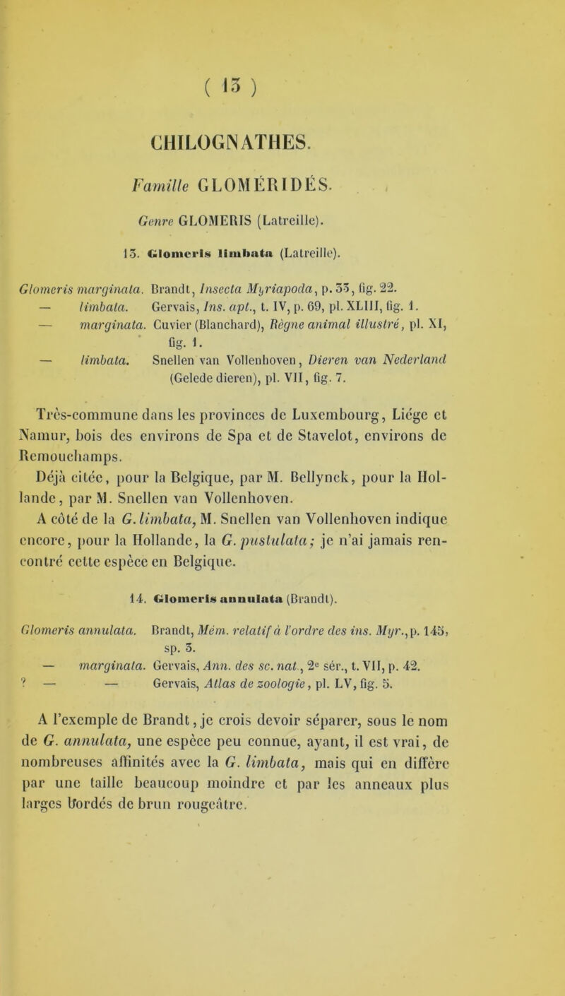 CHILOGNATHES. Famille GLOMÉRIDÉS. Genre GLOMERIS (Latreille). 1-5. Glomeris limitât» (Latreille). Glomeris marginala. Brandt, Insecta Myriapoda, p. 55, fig. 22. — limbala. Gervais, Ins. apt., t. IV, p. 69, pl. XL11I, fig. 1. marginala. Cuvier (Blanchard), Règne animal illustré, pl. XI, fig. 1. — limbala. Snellen van Vollenhoven, Dieren van Nederland (Gelede dieren), pl. VII, fig. 7. Très-commune dans les provinces de Luxembourg, Liège et Namur, bois des environs de Spa et de Stavelot, environs de Remouchamps. Déjà citée, pour la Belgique, par M. Bellynck, pour la Hol- lande, par M. Snellen van Vollenhoven. A côté de la G.limbata, M. Snellen van Vollenhoven indique encore, pour la Hollande, la G. jmslulata; je n’ai jamais ren- contré celte espèce en Belgique. 14. Glomeris annulât» (Brandi). Glomeris annulata. Brandt, Mém. relatif à l’ordre des ins. Mgr., p. 145, sp. 5. — marginala. Gervais, Ann. des sc. nat , 2e sér., t. VII, p. 42. ? — — Gervais, Atlas de zoologie, pl. LV,fig. 5. A l’exemple de Brandt, je crois devoir séparer, sous le nom de G. annulata, une espèce peu connue, ayant, il est vrai, de nombreuses allinités avec la G. limbala, mais qui en diffère par une taille beaucoup moindre et par les anneaux plus larges Bordés de brun rougeâtre.