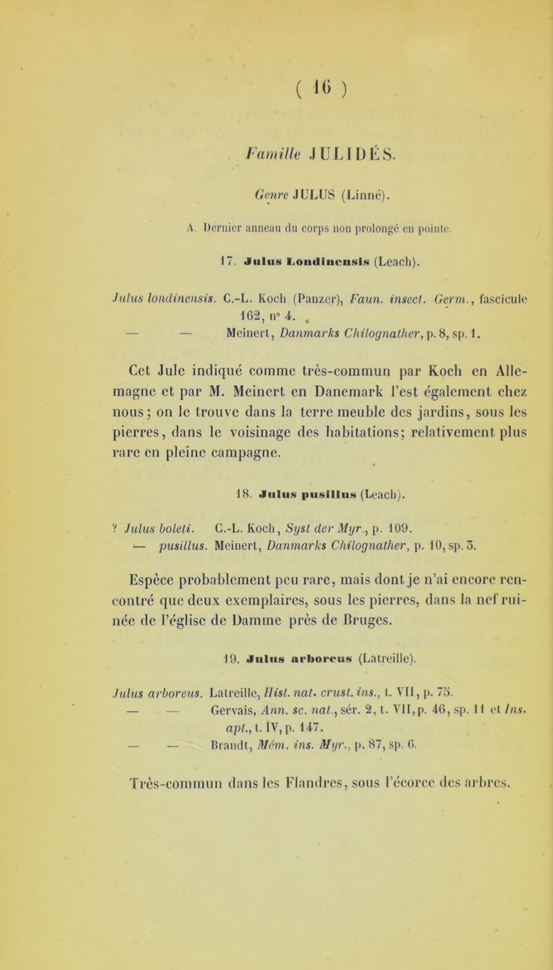 Famille .IULIDÉS. Genre JULUS (Linnc). A. Dernier anneau du corps non prolongé en pointe. 17. Juins iioudiucnsts (Leach). Juins londinensis. C.-L. Koch (Panzer), Faun. insecl. Germ., fascicule 162, n° 4. , Meinert, Danmarks Chilognather, p. 8, sp. 1. Cet Julc indiqué comme très-commun par Koch en Alle- magne et par M. Meinert en Danemark l’est également chez nous; on le trouve dans la terre meuble des jardins, sous les pierres, dans le voisinage des habitations; relativement plus rare en pleine campagne. 18. Juins pusillus (Leach). ? Julus boleti. C.-L. Koch, Sysl der Mgr., p. 109. — pusillus. Meinert, Danmarks Chilognather, p. 10, sp. 3. Espèce probablement peu rare, mais dont je n’ai encore ren- contré que deux exemplaires, sous les pierres, dans la nef rui- née de l’église de üamtne près de Bruges. 19. Juins arborcus (Latreille). Julus arboreus. Latreille, Hist. nat. crust.ins., t. Vil, p. 73. — — Gervais, Ann. sc. nat., sér. 2, t. VII,p. 46, sp. 11 et Ins. api., t. IV, p. 147. — — Brandt, Jlém. ins. Mgr., p. 87, sp. 0. Très-commun dans les Flandres, sous l’écorce des arbres.