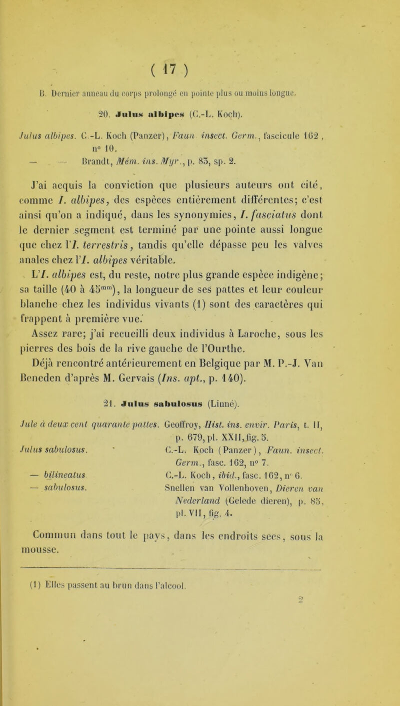 ( »? ) li. Dernier anneau du corps prolongé en pointe plus ou moins longue. 2Ü. Juins iilliipes (C.-L. Koch). Juins albipes. C.-L. Kocli (Panzer), Faun inscct. Germ., fascicule 162 , ii° 10. — — Brandi, Mém. ins. Mxjr., p. 83, sp. 2. J’ai acquis la conviction que plusieurs auteurs ont cité, comme I. albipes, des espèces entièrement différentes; c’est ainsi qu’on a indiqué, dans les synonymies, I. fasciatas dont le dernier segment est terminé par une pointe aussi longue (jue chez 17. terrestris, tandis qu’elle dépasse peu les valves anales chez 17. albipes véritable. L7. albipes est, du reste, notre plus grande espèce indigène; sa taille (40 à 45mm), la longueur de ses pattes et leur couleur blanche chez les individus vivants (1) sont des caractères qui frappent à première vue. Assez rare; j’ai recueilli deux individus à Laroche, sous les pierres des bois de la rive gauche de l’Ourthe. Déjà rencontré antérieurement en Belgique par M. P.-J. Van Beneden d’après M. Gervais {Ins. api., p. 140). 21. Juins sulmlosus (Linné). ■Iule à deux cent quarante pattes. Geoffroy, Hist.ins. envir. Paris, t. Il, p. 679, pl. XXII,fig. 5. Juins sabulosus. ' C.-L. Koch (Panzer), Faun. insect. Germ., lasc. 162, n° 7. — bilinealus C.-L. Koch, ibid., l'asc. 102, nr 6. — sabulosus. Snellen van Vollenhoven, Diercn van Nederland (Gelede dieren), p. 83, pl. Vil, lig. 4. Commun dans tout le pays, dans les endroits secs, sous la mousse. (1) Elles passent au brun dans l’alcool.