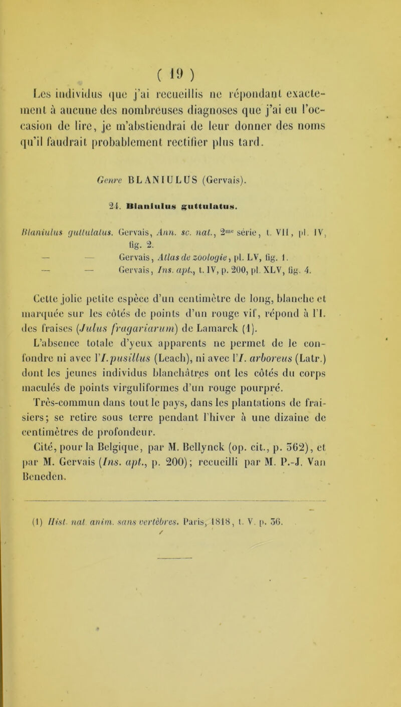Les individus que j’ai recueillis ne répondant exacte- ment à aucune des nombreuses diagnoses que j’ai eu l’oc- casion de lire, je m’abstiendrai de leur donner des noms qu’il faudrait probablement rectifier plus tard. Genre 15 L A N I U L U S (Gervais). 21. Itlnnliilus guttiilatiiM. Hlaniulus gullulatus. Gervais, Ann. sc. nat., 2mu série, t. Vit, pi. IV, fi rr <2 Gervais, Allas de zoologie, pl. LV, fig. I. Gervais, Ins. apL, t. IV, p. 200, pl. XLV, lig. 4. Cette jolie petite espèce d’un centimètre de long, blanche et marquée sur les côtés de points d’un rouge vif, répond à l’I. des fraises (.Juins fragariaruni) de Lamarck (1). L’absence totale d’yeux apparents ne permet de le con- fondre ni avec Yl.pusillus (Lcacli), ni avec 17. arborais (Latr.) dont les jeunes individus blanchâtres ont les côtés du corps maculés de points virguliformes d’un rouge pourpré. Très-commun dans tout le pays, dans les plantations de frai- siers; se retire sous terre pendant l’hiver à une dizaine de centimètres de profondeur. Cité, pour la Belgique, par i\I. Bellynck (op. cit., p. 562), et par M. Gervais [Ins. api., p. 200); recueilli par M. P.-J. Van Bencden. (I) Ilisl. nat anim. sans vertèbres. Paris, 1818, t. V. p. 36. /