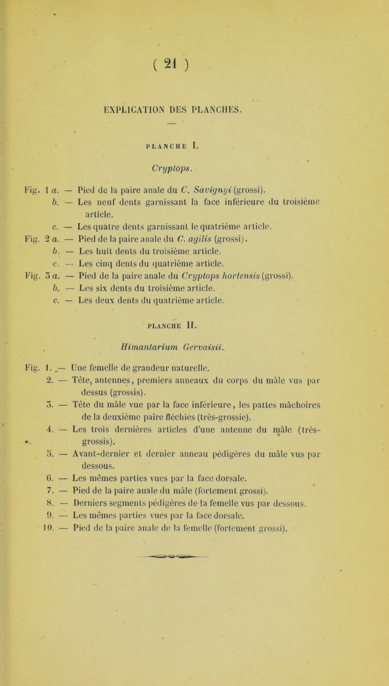 EXPLICATION DES PLANCHES. PLANCHE I. Cnjplops. Fig. 1 a. b. c. Fig. 2 a. b. c. Fig. 3 a. b. c. — Pied de la paire anale du C. Savignyi (grossi). — Les neuf dents garnissant la face inférieure du troisième article. — Les quatre dents garnissant le quatrième article. — Pied de la [taire anale du C. agilis (grossi). — Les huit dents du troisième article. — Les cinq dents du quatrième article. — Pied de la paire anale du Cnjptops hortensia (grossi). — Les six dents du troisième article. — Les deux dents du quatrième article. PLANCHE II. Hi mantarium Gervaisii. Fig. l.„— Une femelle de grandeur naturelle. 2. — Tète, antennes, premiers anneaux du corps du mâle vus par dessus (grossis). 5. — Tête du mâle vue par la face inférieure, les pattes mâchoires de la deuxième paire fléchies (très-grossie). 4. — Les trois dernières articles d’une antenne du mâle (très- ». grossis). o. — Avant-dernier et dernier anneau pédigères du mâle vus par dessous. 6. — Les mêmes parties vues par la face dorsale. 7. — Pied de la paire anale du mâle (fortement grossi). 8. — Derniers segments pédigères de la femelle vus par dessous. 0. — Les mêmes parties vues par la face dorsale. 10, — Pied de la paire anale de la femelle (fortement grossi).