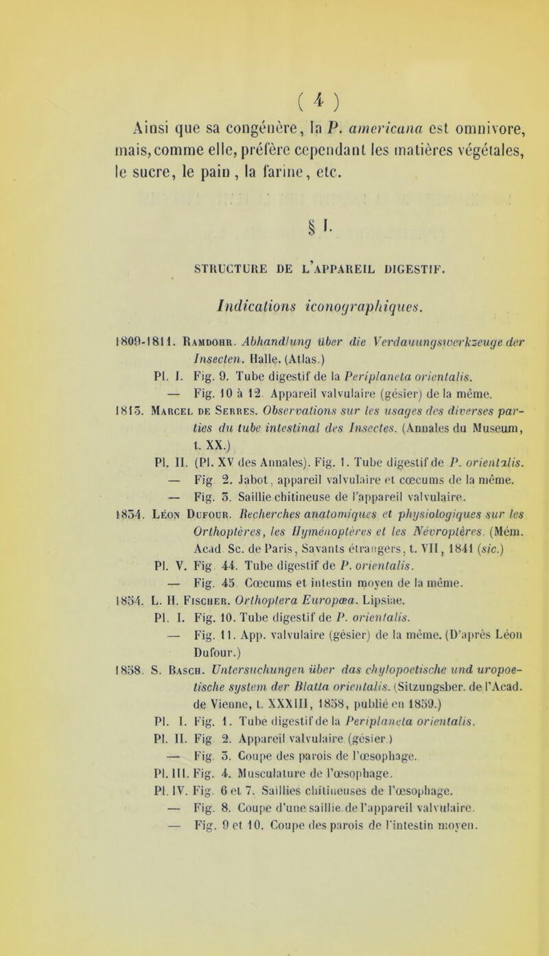 Ainsi que sa congénère, la P. americana est omnivore, mais,comme elle, préfère cependant les matières végétales, le sucre, le pain, la farine, etc. STRUCTURE DE L’APPAREIL DIGESTIF. /ndicalions iconographiques. 1809-1811. Ramdohr. Abhandlung über die Verdauungswerkzeuge der Inseclen. Halle. (Atlas.) PI. 1. Fig. 9. Tube digestif de la Periplaneta orientalis. — Fig. 10 à 12 Appareil valvulaire (gésier) delà même. 1815. Marcel de Serres. Observations sur les usages des diverses par- ties du tube intestinal des Insectes. (Annales du Muséum, t. XX.) PI. II. (PI. XV des Annales). Fig. 1. Tube digestif de P. orientalis. — Fig 2. Jabot, appareil valvulaire et cæcums de la même. — Fig. 5. Saillie chitineuse de l’appareil valvulaire. 1854. Léon Dufour. Recherches anatomiques et physiologiques sur les Orthoptères, les Hyménoptères et les Névroplères. (Mém. Acad Sc. de Paris, Savants étrangers, t. VII, 1841 (sic.) PI. V. Fig 44. Tube digestif de P. orientalis. — Fig. 45 Cæcums et intestin moyen de la même. 1834. L. H. Fischer. Orlhoplera Europœa. Lipsiae. PI. I. Fig. 10. Tube digestif de P. orientalis. — Fig. 11. App. valvulaire (gésier) de la même. (D’après Léon Dufour.) 1838. S. Basch. Untersuchungen über das chylopoetische und uropoe- tische System der Blatla orientalis. (Silzungsber. de l’Acad. de Vienne, l. XXXIII, 1838, publié en 1839.) PL I. Fig. 1. Tube digestif de la Periplanela orientalis. PI. IL Fig 2. Appareil valvulaire (gésier.) — Fig. 3. Coupe des parois de l’œsophage. PI. III. Fig. 4. Musculature de l’œsophage. PI. IV. Fig. 6 et 7. Saillies chilineuses de l’œsophage. — Fig. 8. Coupe d’une saillie de l'appareil valvulaire.