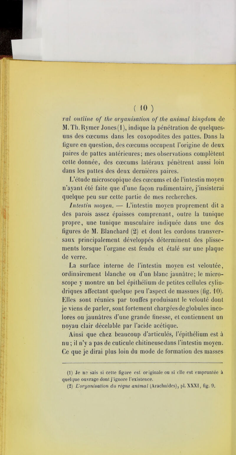 val outline of thc organisation of the animal kingdom de M.Th.Rymer Jones(l), indique Ja pénétration de quelques- uns des cæcums dans les coxopodites des pattes. Dans la figure en question, des cæcums occupent l’origine de deux paires de pattes antérieures; mes observations complètent celle donnée, des cæcums latéraux pénètrent aussi loin dans les pattes des deux dernières paires. L’étude microscopique des cæcums et de l’intestin moyen n’ayant été faite que d’une façon rudimentaire, j’insisterai quelque peu sur celte partie de mes recherches. Intestin moyen. — L’intestin moyen proprement dit a des parois assez épaisses comprenant, outre la tunique propre, une tunique musculaire indiquée dans une des ligures de M. Blanchard (2) et dont les cordons transver- saux principalement développés déterminent des plisse- ments lorsque l'organe est fendu et étalé sur une plaque de verre. La surface interne de l’intestin moyen est veloutée, ordinairement blanche ou d’un blanc jaunâtre; le micro- scope y montre un bel épithélium de petites cellules cylin- driques affectant quelque peu l’aspect de massues (fig. 10). Elles sont réunies par touffes produisant le velouté dont je viens de parler, sont fortement chargées de globules inco- lores ou jaunâtres d’une grande finesse, et contiennent un noyau clair décelable par l’acide acétique. Ainsi que chez beaucoup d’articulés, l’épithélium est à nu ; il n’v a pas de cuticule chitineusedans l’intestin moyen. Ce que je dirai plus loin du mode de formation des masses (1) Je ne sais si celte figure est originale ou si elle est empruntée à quelque ouvrage dont j’ignore l’existence. (2) L’organisation du règne animal (Arachnides), pi. XXXI, fig. 9.