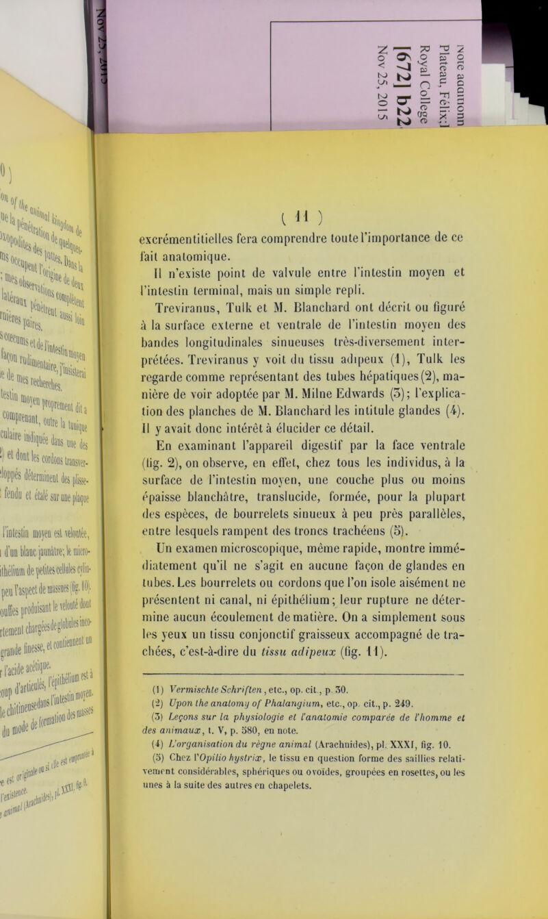 ) on >ÏSt ;t*N, >1. l>fa„.. ^tMllplÈw. lleram r^pa-Cül^iloiB pÈüètrem ^msttdef i ru ie de k[%'*mKS, .«SKdB^ *»*(«( JlDS,„te ■!et <loM les eordsns [raasitr- Mp déterminent des pli®. • fendu et étalé snr une plaque l'iotestiii moyen est veloutée, i d'un blanc jaunâtre; le miero- ilhéliunule petites cellules «lin- ouffes produisant le v rtemeot chargéesdeglobulesmco- grande linesse, et contiennent un r facide acétique- l M ) excrémentitielles fera comprendre toute l’importance de ce fait anatomique. il n’existe point de valvule entre l’intestin moyen et l’intestin terminal, mais un simple repli. Treviranus, Tulk et M. Blanchard ont décrit ou figuré à la surface externe et ventrale de l’intestin moyen des bandes longitudinales sinueuses très-diversement inter- prétées. Treviranus y voit du tissu adipeux (1), Tulk les regarde comme représentant des tubes hépatiques(2), ma- nière de voir adoptée par M. Milne Edwards (5); l’explica- tion des planches de M. Blanchard les intitule glandes (4). Il y avait donc intérêt à élucider ce détail. En examinant l’appareil digestif par la face ventrale (lig. 2), on observe, en effet, chez tous les individus, à la surface de l’intestin moyen, une couche plus ou moins épaisse blanchâtre, translucide, formée, pour la plupart des espèces, de bourrelets sinueux à peu près parallèles, entre lesquels rampent des troncs trachéens (5). Un examen microscopique, même rapide, montre immé- diatement qu’il ne s’agit en aucune façon de glandes en tubes. Les bourrelets ou cordons que l’on isole aisément ne présentent ni canal, ni épithélium; leur rupture ne déter- mine aucun écoulement de matière. On a simplement sous les yeux un tissu conjonctif graisseux accompagné de tra- chées, c’est-à-dire du tissu adipeux (lig. 11). ( 1 ) Vermischle Schriften, etc., op. cil., p. 30. (2) Upon lhe analomy of Phalangium, etc., op. cit., p. 249. (3) Leçons sur la physiologie et l’anatomie comparée de l’homme et des animaux, t. V, p. 380, en note. (4) L’organisation du règne animal (Arachnides), pl. XXXI, fig. 10. (3) Chez VOpilio hystrix, le tissu en question forme des saillies relati- vement considérables, sphériques ou ovoïdes, groupées en rosettes, ou les unes à la suite des autres en chapelets.