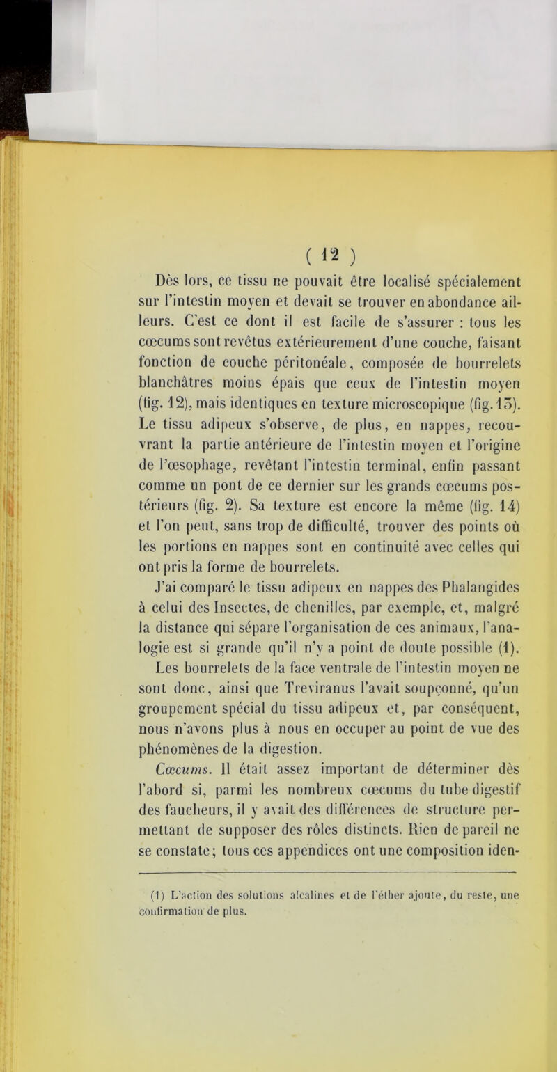 Dès lors, ce tissu ne pouvait être localisé spécialement sur l’intestin moyen et devait se trouver en abondance ail- leurs. C’est ce dont il est facile de s’assurer : tous les cæcums sont revêtus extérieurement d’une couche, faisant fonction de couche péritonéale, composée de bourrelets blanchâtres moins épais que ceux de l’intestin moyen (fig. 12), mais identiques en texture microscopique (fig. 15). Le tissu adipeux s’observe, de plus, en nappes, recou- vrant la partie antérieure de l’intestin moyen et l’origine de l’œsophage, revêtant l’intestin terminal, enfin passant comme un pont de ce dernier sur les grands cæcums pos- térieurs (fig. 2). Sa texture est encore la même (fig. 14) et l’on peut, sans trop de difficulté, trouver des points où les portions en nappes sont en continuité avec celles qui ont pris la forme de bourrelets. J’ai comparé le tissu adipeux en nappes des Pbalangides à celui des Insectes, de chenilles, par exemple, et, malgré la distance qui sépare l’organisation de ces animaux, l’ana- logie est si grande qu’il n’y a point de doute possible (1). Les bourrelets de la face ventrale de l’intestin moyen ne sont donc, ainsi que Treviranus l’avait soupçonné, qu’un groupement spécial du tissu adipeux et, par conséquent, nous n’avons plus à nous en occuper au point de vue des phénomènes de la digestion. Cæcums. Il était assez important de déterminer dès l’abord si, parmi les nombreux cæcums du tube digestif des faucheurs, il y avait des différences de structure per- mettant de supposer des rôles distincts. Rien de pareil ne se constate; tous ces appendices ont une composition iden- (I) L’action des solutions alcalines et de l'éther ajoute, du reste, une confirmation de plus.