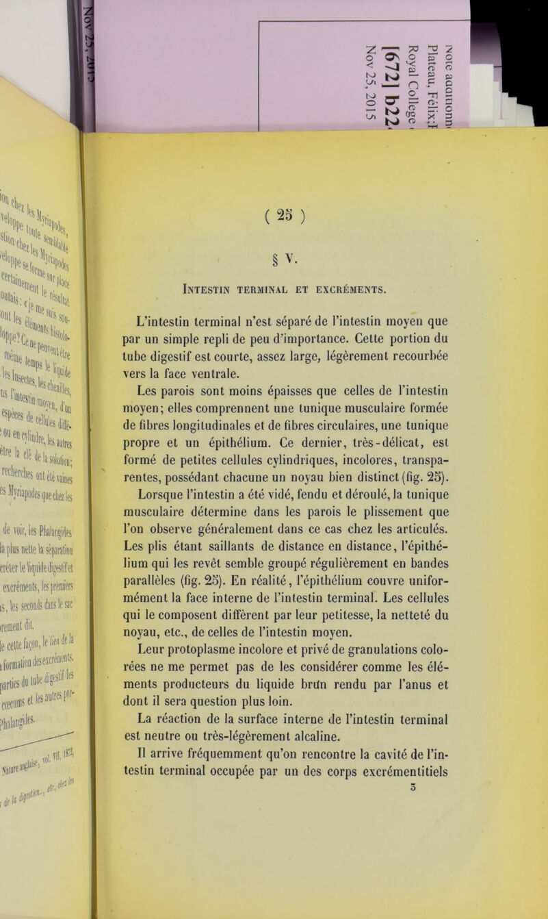 O Os O p <; o (JQ p' -ri (25 ) § V. Intestin terminal et excréments. L’intestin terminal n’est séparé de l’intestin moyen que par un simple repli de peu d’importance. Cette portion du tube digestif est courte, assez large, légèrement recourbée vers la face ventrale. Les parois sont moins épaisses que celles de l’intestin moyen; elles comprennent une tunique musculaire formée de fibres longitudinales et de fibres circulaires, une tunique propre et un épithélium. Ce dernier, très-délicat, est formé de petites cellules cylindriques, incolores, transpa- rentes, possédant chacune un noyau bien distinct (fig. 25). Lorsque l’intestin a été vidé, fendu et déroulé, la tunique musculaire détermine dans les parois le plissement que l’on observe généralement dans ce cas chez les articulés. Les plis étant saillants de distance en distance, l’épithé- lium qui les revêt semble groupé régulièrement en bandes mément la face interne de l’intestin terminal. Les cellules qui le composent diffèrent par leur petitesse, la netteté du noyau, etc., de celles de l’intestin moyen. Leur protoplasme incolore et privé de granulations colo- rées ne me permet pas de les considérer comme les élé- ments producteurs du liquide briin rendu par l’anus et dont il sera question plus loin. La réaction de la surface interne de l’intestin terminal est neutre ou très-légèrement alcaline. Il arrive fréquemment qu’on rencontre la cavité de l’in- testin terminal occupée par un des corps excrémentitiels
