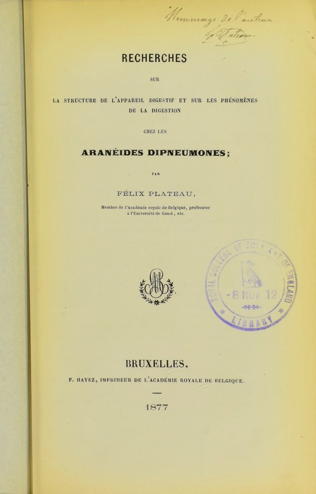 digitised image 3
