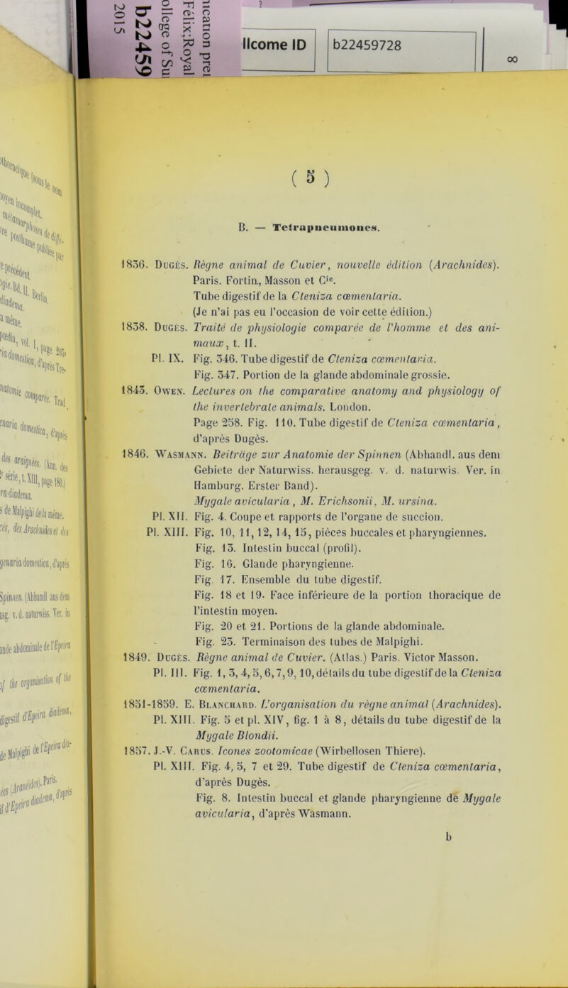 to O L/l Z g crq N o 4^ 2 (Tl 80 ■n 3 n>- o — w x ~ * *, O 73 3 ^ n gl3 ( S ) D. — TcJr«|»ueuinoues. 1830. Dugès. Règne animal de Cuvier, nouvelle édition (Arachnides). Paris. Fortin, Masson et Cic. Tube digestif de la Cleniza cœmenlaria. (Je n’ai pas eu l’occasion de voir cette édition.) 1838. Dugès. Traité de physiologie comparée de l'homme et des ani- maux, t. II. PI. IX. Fig. 346. Tube digestif de Cleniza cœmentar.ia. Fig. 347. Portion de la glande abdominale grossie. 1843. Owe.w Lectures on the comparative anatomy and physiology of the invertebrale animais. London. Page 258. Fig. 110. Tube digestif de Cleniza cœmenlaria , d’après Dugès. 1846. Wasmann. Beitrdge zur Anatomie der Spinnen (Abhandl. aus dent Gebiete der Naturwiss. herausgeg. v. d. naturwis. Ver. in Hamburg. Erster Band). Mygale avicularia, M. Erichsonii, M. ursina. PI. XII. Fig. 4. Coupe et rapports de l’organe de succion. PI. XIII. Fig. 10, 11,12, 14,15, pièces buccales et pharyngiennes. Fig. 13. Intestin buccal (profil). Fig. 16. Glande pharyngienne. Fig. 17. Ensemble du tube digestif. Fig. 18 et 19- Face inférieure de la portion thoracique de l’intestin moyen. Fig. 20 et 21. Portions de la glande abdominale. Fig. 23. Terminaison des tubes de Malpighi. 1849. Dugès. Règne animal de Cuvier. (Atlas.) Paris. Victor Masson. PI. 111. Fig. 1,3,4,5,6,7,9,10, détails du tube digestif delà Cleniza cœmentaria. 1851-1859. E. Blanchard. L’organisation du règne animal (Arachnides). PI. XIII. Fig. 5 etpl. XIV, fig. 1 à 8, détails du tube digestif de la Mygale Blondii. 1857. J.-V. Carus. Icônes zootomicae (Wirbellosen Thiere). PI. XIII. Fig. 4, 5, 7 et 29. Tube digestif de Cleniza cœmentaria, d’après Dugès. Fig. 8. Intestin buccal et glande pharyngienne de Mygale avicularia, d’après Wasmann. b