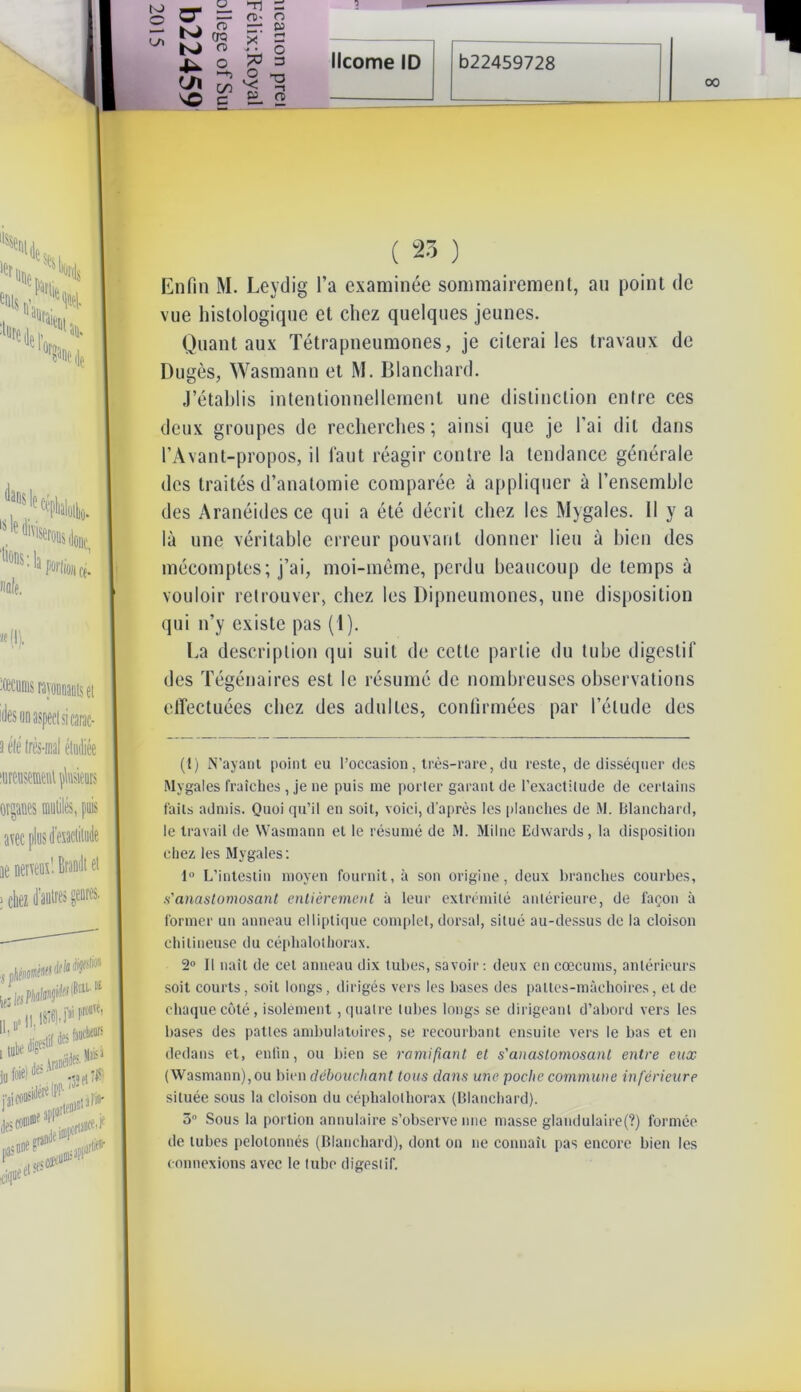 O ü >Tl S n>- o =1 P fcv 1 CD - K 'R g 5 rx o 3 | 'S NO Ç S. 2 licorne ID b22459728 00 ls lî divi 'lions;] Mie. Y1^rous donc, PMiou f,. « (I). rayonnant et idesunaspectsicarac- 3 élé très-mal étudiée lureusement plusieurs organes mutilés, puis avec plus d'exactitude ae nerveux’. Brandi et > chez (loutres genres. ;„/iMlslioa ,-ksphà¥fSlialJl |8i6),i'»iPrwTe' 11, »' ei jn foie) dej ,? et jUfflftl» îS iii0 #** ( 23 ) Enfin M. Leydig l’a examinée sommairement, an point de vue histologique et chez quelques jeunes. Quant aux Tétrapneumones, je citerai les travaux de Dugès, Wasmann et M. Blanchard. J’étahlis intentionnellement une distinction entre ces deux groupes de recherches; ainsi que je l’ai dit dans l’Avant-propos, il faut réagir contre la tendance générale des traités d’anatomie comparée à appliquer à l’ensemble des Aranéides ce qui a été décrit chez les Mygales. 11 y a là une véritable erreur pouvant donner lieu à bien des mécomptes; j’ai, moi-même, perdu beaucoup de temps à vouloir retrouver, chez les Dipneumones, une disposition qui n’y existe pas (1). La description qui suit de cette partie du tube digestif des Tégénaires est le résumé de nombreuses observations effectuées chez des adultes, confirmées par l’élude des (!) N’ayant point eu l’occasion, très-rare, du reste, de disséquer des Mygales fraîches, je ne puis me porter garant de l’exactitude de certains faits admis. Quoi qu’il en soit, voici, d’après les planches de M. Blanchard, le travail de Wasmann et le résumé de M. Milne Edwards, la disposition chez les Mygales: 1° L’intestin moyen fournit, à son origine, deux branches courbes, s'anastomosant entièrement à leur extrémité antérieure, de façon à former un anneau elliptique complet, dorsal, situé au-dessus de la cloison chitineuse du céphalothorax. 2° 11 naît de cet anneau dix tubes, savoir : deux en cæcums, antérieurs soit courts, soit longs, dirigés vers les bases des pattes-mâchoires, et de chaque côté, isolément, quatre tubes longs se dirigeant d’abord vers les bases des pattes ambulatoires, se recourbant ensuite vers le bas et en dedans et, enfin, ou bien se ramifiant et s'anastomosant entre eux (Wasmann), ou bien débouchant tous dans une poche commune inférieure située sous la cloison du céphalothorax (Blanchard). 5° Sous la portion annulaire s’observe une masse glandulaire(?) formée de tubes pelotonnés (Blanchard), dont on ne connaît pas encore bien les connexions avec le tube digestif.