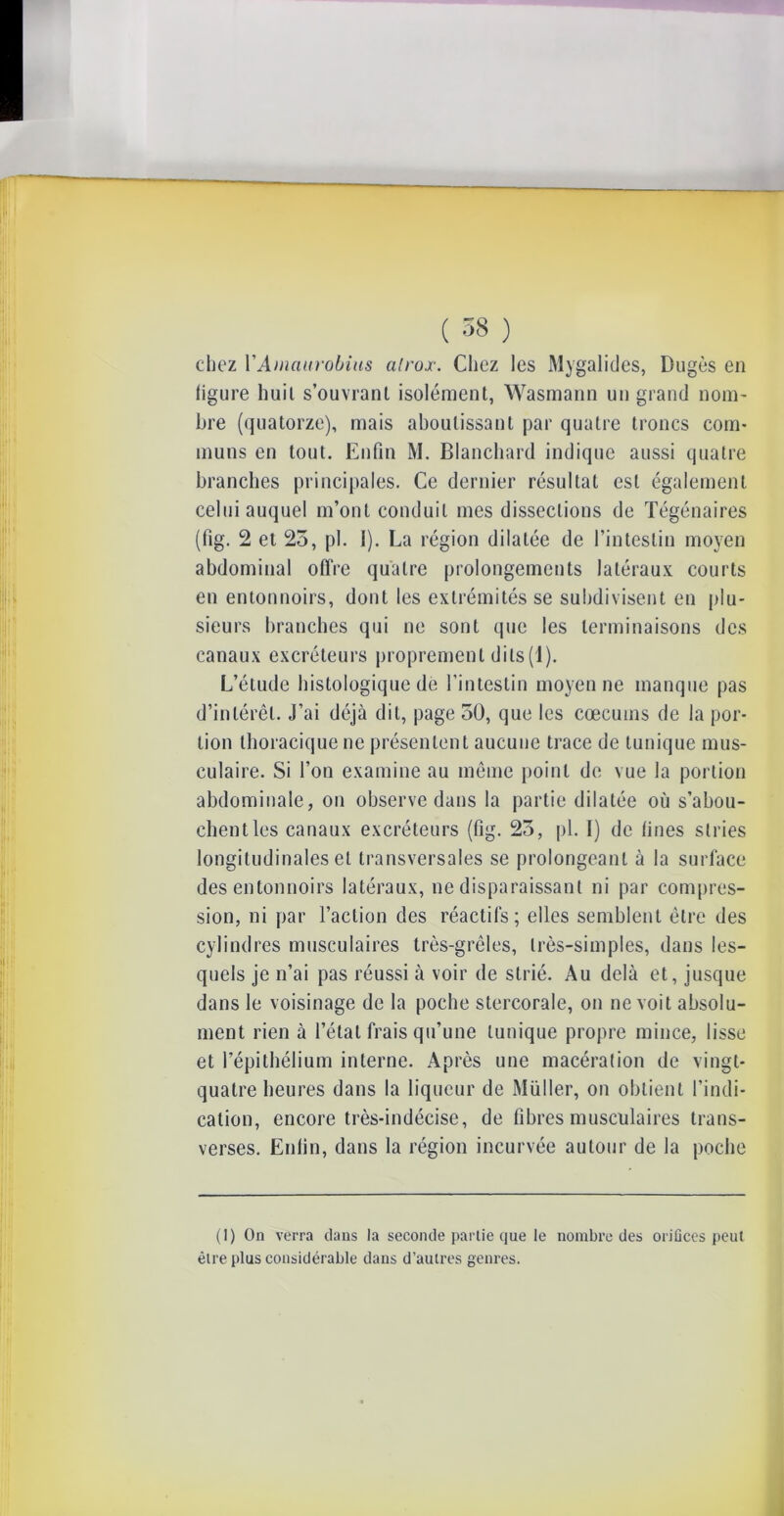 chez VAmaurobius atrox. Chez les Mygalides, Dugès en figure huit s’ouvrant isolément, Wasmann un grand nom- hre (quatorze), mais aboutissant par quatre troncs com- muns en tout. Enfin M. Blanchard indique aussi quatre branches principales. Ce dernier résultat est également celui auquel m’ont conduit mes dissections de Tégénaires (fig. 2 et 25, pl. 1). La région dilatée de l’intestin moyen abdominal ofïre quatre prolongements latéraux courts en entonnoirs, dont les extrémités se subdivisent en plu- sieurs branches qui ne sont que les terminaisons des canaux excréteurs proprement dits(1). L’étude histologique de l’intestin moyenne manque pas d’intérêt. J’ai déjà dit, page 50, que les cæcums de la por- tion thoracique ne présentent aucune trace de tunique mus- culaire. Si l’on examine au même point de vue la portion abdominale, on observe dans la partie dilatée où s’abou- chent les canaux excréteurs (fig. 25, pl. I) de fines stries longitudinales et transversales se prolongeant à la surface des entonnoirs latéraux, ne disparaissant ni par compres- sion, ni par l’action des réactifs; elles semblent être des cylindres musculaires très-grêles, très-simples, dans les- quels je n’ai pas réussi à voir de strié. Au delà et, jusque dans le voisinage de la poche stercorale, on ne voit absolu- ment rien à l’état frais qu’une tunique propre mince, lisse et l’épithélium interne. Après une macération de vingt- quatre heures dans la liqueur de Mü11er, on obtient l’indi- cation, encore très-indécise, de fibres musculaires trans- verses. Enfin, dans la région incurvée autour de la poche (1) On verra dans la seconde partie que le nombre des orifices peut être plus considérable dans d’autres genres.