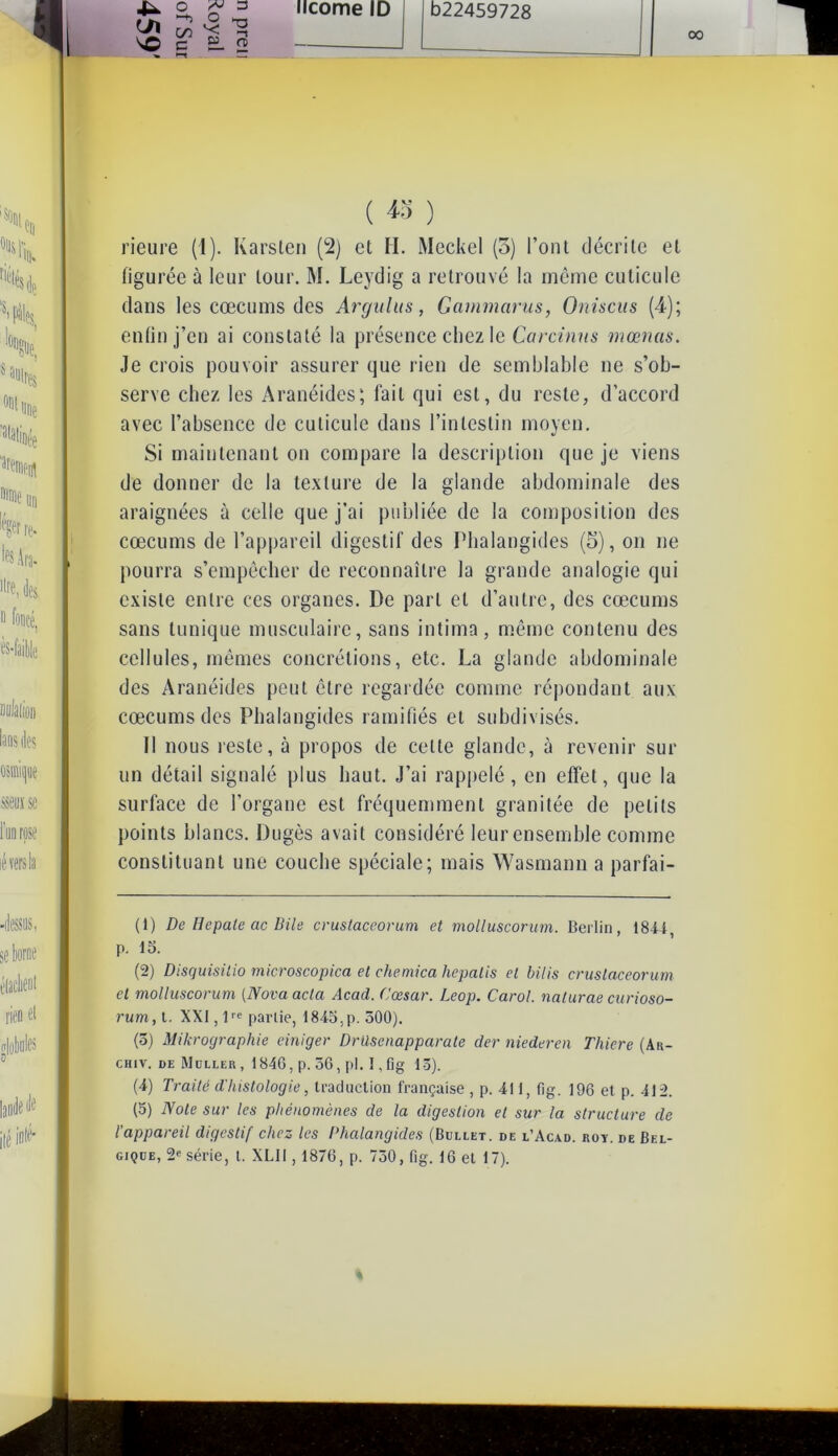 4^ o £ 3 ''O e o v; 05 3 O -i fï licorne ID D22459728 ( & ) rieure (1). Karsten (2) et H. Meckel (3) l’ont décrite et figurée à leur tour. M. Leydig a retrouvé la môme cuticule dans les cæcums des Argulus, Gammarus, Oniscus (4); enfin j’en ai constaté la présence chez le Carcinus mœnas. Je crois pouvoir assurer que rien de semblable ne s’ob- serve chez les Aranéides; fait qui est, du reste, d’accord avec l’absence de cuticule dans l’intestin moyen. Si maintenant on compare la description que je viens de donner de la texture de la glande abdominale des araignées ù celle que j’ai publiée de la composition des cæcums de l’appareil digestif des Phalangides (5), on ne pourra s’empêcher de reconnaître la grande analogie qui existe entre ces organes. De part et d’autre, des cæcums sans tunique musculaire, sans intima, même contenu des cellules, mêmes concrétions, etc. La glande abdominale des Aranéides peut être regardée comme répondant aux cæcums des Phalangides ramifiés et subdivisés. Il nous reste, à propos de celle glande, à revenir sur un détail signalé plus haut. J’ai rappelé, en effet, que la surface de l’organe est fréquemment granitée de petits points blancs. Dugès avait considéré leur ensemble comme constituant une couche spéciale; mais Wasmann a parfai- (1) De Hepate ac Bile crustaceorum et molluscorum. Berlin, 18-44, p. 15. (2) Disquisilio microscopica et chemica hepalis et bilis crustaceorum cl molluscorum (Nova acta Acad. Cœsar. Leop. Carol. naturae curioso- rum, t. XXI, lre partie, 1845,p. 500). (3) Mikrographie einiger Drüsenapparate der niederen Thiere (Ak- chiv. de Muller , 1846, p. 56, pl. I, fig 13). (4) Traité d'Iustologie, traduction française , p. 411, fig. 196 et p. 412. (5) Note sur les phénomènes de la digestion et sur la structure de l'appareil digestif chez les Phalangides (Bullet. de l’Acad. roy. de Bel-