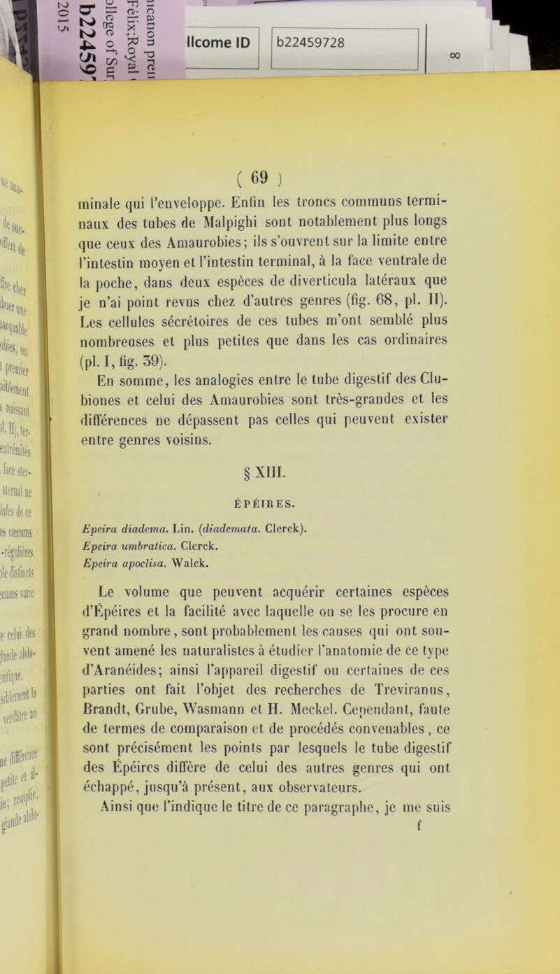 7k O T, 00 ( 69 ) rninale qui l’enveloppe. Enfin les troncs communs termi- naux des tubes de Malpighi sont notablement plus longs que ceux des Amaurobies; ils s’ouvrent sur la limite entre l’intestin moyen et l’intestin terminal, à la face ventrale de la poche, dans deux espèces de diverticula latéraux que je n’ai point revus chez d’autres genres (fig. 68, pl. II). Les cellules sécrétoires de ces tubes m’ont semblé plus nombreuses et plus petites que dans les cas ordinaires (pl. I, fig. 39). En somme, les analogies entre le tube digestif des Clu- biones et celui des Amaurobies sont très-grandes et les différences ne dépassent pas celles qui peuvent exister entre genres voisins. Ecrira diadema. Lin. (diademala. Clerck). Epeira umbratica. Clerck. Epeira apoclisa. Walck. Le volume que peuvent acquérir certaines espèces d’Épéires et la facilité avec laquelle on se les procure en grand nombre , sont probablement les causes qui ont sou- vent amené les naturalistes à étudier l’anatomie de ce type d’Aranéides; ainsi l’appareil digestif ou certaines de ces parties ont fait l’objet des recherches de Treviranus, Brandt, Grube, Wasmann et H. Meckel. Cependant, faute de termes de comparaison et de procédés convenables, ce sont précisément les points par lesquels le tube digestif des Épéircs diffère de celui des autres genres qui ont échappé, jusqu’à présent, aux observateurs. Ainsi que l’indique le titre de ce paragraphe, je me suis XIII. ÉPÉIRES.