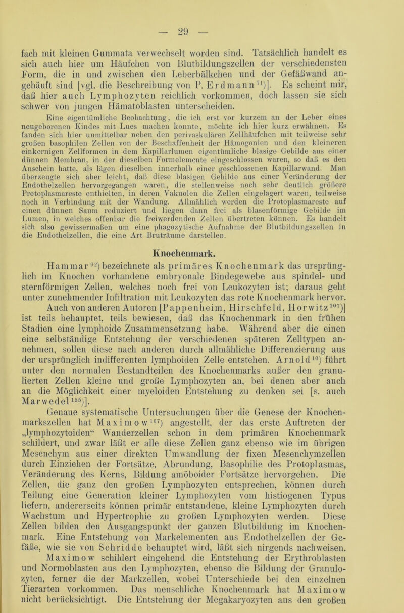 fach mit kleinen Gummata verwechselt worden sind. Tatsächlich handelt es sich auch hier um Häufchen von Blutbildungszellen der verschiedensten Form, die in und zwischen den Leberbälkchen und der Gefäßwand an- gehäuft sind [vgl. die Beschreibung von P. Erdmann 71)J. Es scheint mir, daß hier auch Lymphozyten reichlich Vorkommen, doch lassen sie sich schwer von jungen Hämatoblasten unterscheiden. Eine eigentümliche Beobachtung, die ich erst vor kurzem an der Leber eines neugeborenen Kindes mit Lues machen konnte, möchte ich hier kurz erwähnen. Es fanden sich hier unmittelbar neben den perivaskulären Zellhäufchen mit teilweise sehr großen basophilen Zellen von der Beschaffenheit der Ilämogonien und den kleineren einkernigen Zellformen in dem Kapillarlumen eigentümliche blasige Gebilde aus einer dünnen Membran, in der dieselben Form ©lernen te eingeschlossen waren, so daß es den Anschein hatte, als lägen dieselben innerhalb einer geschlossenen Kapillarwand. Man überzeugte sich aber leicht, daß diese blasigen Gebilde aus einer Veränderung der Endothelzellen hervorgegangen waren, die stellenweise noch sehr deutlich größere Protoplasmareste enthielten, in deren Vakuolen die Zellen eingelagert waren, teilweise noch in Verbindung mit der Wandung. Allmählich werden die Protoplasmareste auf einen dünnen Saum reduziert und liegen dann frei als blasenförmige Gebilde im Lumen, in welches offenbar die freiwerdenden Zellen übertreten können. Es handelt sich also gewissermaßen um eine phagozytische Aufnahme der Blutbildungszellen in die Endothelzellen, die eine Art Bruträume darstellen. Knochenmark. Hammar92) bezeiclmete als primäres Knochenmark das ursprüng- lich im Knochen vorhandene embryonale Bindegewebe aus spindel- und sternförmigen Zellen, welches noch frei von Leukozyten ist; daraus geht unter zunehmender Infiltration mit Leukozyten das rote Knochenmark hervor. Auch von anderen Autoren [Pappenheim, Hirschfeld, Horwitz107)] ist teils behauptet, teils bewiesen, daß das Knochenmark in den frühen Stadien eine lymphoide Zusammensetzung habe. Während aber die einen eine selbständige Entstehung der verschiedenen späteren Zelltypen an- nehmen, sollen diese nach anderen durch allmähliche Differenzierung aus der ursprünglich indifferenten lymphoiden Zelle entstehen. Arnold10) führt unter den normalen Bestandteilen des Knochenmarks außer den granu- lierten Zellen kleine und große Lymphozyten an, bei denen aber auch an die Möglichkeit einer myeloiden Entstehung zu denken sei [s. auch Marwedellä5)]. Genaue systematische Untersuchungen über die Genese der Knochen- markszellen hat Maxim ow167) angestellt, der das erste Auftreten der „lymphozytoiden“ Wanderzellen schon in dem primären Knochenmark schildert, und zwar läßt er alle diese Zellen ganz ebenso wie im übrigen Mesenchym aus einer direkten Umwandlung der fixen Mesenchymzellen durch Einziehen der Fortsätze, Abrundung, Basophilie des Protoplasmas, Veränderung des Kerns, Bildung amöboider Fortsätze hervorgehen. Die Zellen, die ganz den großen Lymphozyten entsprechen, können durch Teilung eine Generation kleiner Lymphozyten vom histiogenen Typus liefern, andererseits können primär entstandene, kleine Lymphozyten durch Wachstum und Hypertrophie zu großen Lymphozyten werden. Diese Zellen bilden den Ausgangspunkt der ganzen Blutbildung im Knochen- mark. Eine Entstehung von Markelementen aus Endothelzellen der Ge- fäße, wie sie von Schridde behauptet wird, läßt sich nirgends nachweisen. Maxim ow schildert eingehend die Entstehung der Erythroblasten und Normoblasten aus den Lymphozyten, ebenso die Bildung der Granulo- zyten, ferner die der Markzellen, wobei Unterschiede bei den einzelnen Tierarten Vorkommen. Das menschliche Knochenmark hat Maximow nicht berücksichtigt. Die Entstehung der Megakaryozyten aus den großen
