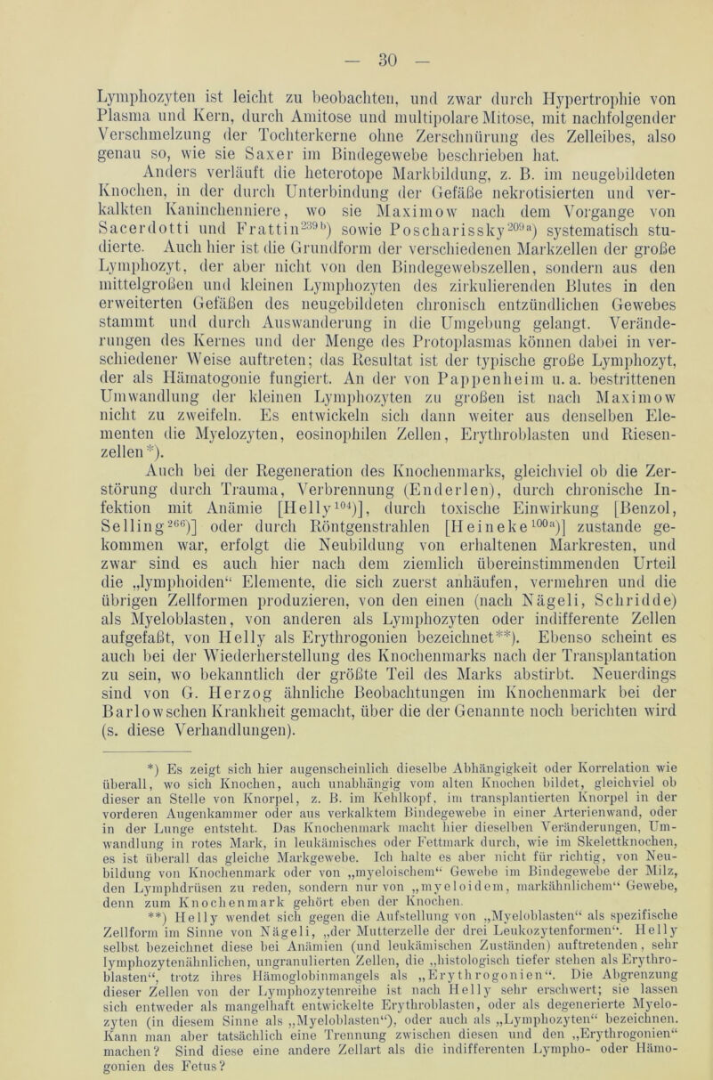 Lymphozyten ist leicht zu beobachten, und zwar durch Hypertrophie von Plasma und Kern, durch Amitose und multipolare Mitose, mit nachfolgender Verschmelzung der Tochterkerne ohne Zersclmürung des Zelleibes, also genau so, wie sie Saxer im Bindegewebe beschrieben hat. Anders verläuft die heterotope Markbildung, z. B. im neugebildeten Knochen, in der durch Unterbindung der Gefäße nekrotisierten und ver- kalkten Kaninchenniere, wo sie Maximow nach dem Vorgänge von Sacerdotti und Frattin239b) sowie Poscharissky209“) systematisch stu- dierte. Auch hier ist die Grundform der verschiedenen Markzellen der große Lymphozyt, der aber nicht von den Bindegewebszellen, sondern aus den mittelgroßen und kleinen Lymphozyten des zirkulierenden Blutes in den erweiterten Gefäßen des neugebildeten chronisch entzündlichen Gewebes stammt und durch Auswanderung in die Umgebung gelangt. Verände- rungen des Kernes und der Menge des Protoplasmas können dabei in ver- schiedener Weise auftreten; das Resultat ist der typische große Lymphozyt, der als Hämatogonie fungiert. An der von Pappenheim u. a. bestrittenen Umwandlung der kleinen Lymphozyten zu großen ist nach Maximow nicht zu zweifeln. Es entwickeln sich dann weiter aus denselben Ele- menten die Myelozyten, eosinophilen Zellen, Erythroblasten und Riesen- zellen *). Auch bei der Regeneration des Knochenmarks, gleichviel ob die Zer- störung durch Trauma, Verbrennung (Enderlen), durch chronische In- fektion mit Anämie [Helly104)], durch toxische Einwirkung [Benzol, Selling 266)] oder durch Röntgenstrahlen [H ei n e k e 100a)] zustande ge- kommen war, erfolgt die Neubildung von erhaltenen Markresten, und zwar sind es auch hier nach dem ziemlich übereinstimmenden Urteil die „lymphoiden“ Elemente, die sich zuerst anhäufen, vermehren und die übrigen Zellformen produzieren, von den einen (nach Nägeli, Schridde) als Myeloblasten, von anderen als Lymphozyten oder indifferente Zellen aufgefaßt, von Hel ly als Erythrogonien bezeichnet**). Ebenso scheint es auch bei der Wiederherstellung des Knochenmarks nach der Transplantation zu sein, wo bekanntlich der größte Teil des Marks abstirbt. Neuerdings sind von G. Herzog ähnliche Beobachtungen im Knochenmark bei der Barlowsehen Krankheit gemacht, über die der Genannte noch berichten wird (s. diese Verhandlungen). *) Es zeigt sich hier augenscheinlich dieselbe Abhängigkeit oder Korrelation wie überall, wo sich Knochen, auch unabhängig vom alten Knochen bildet, gleichviel oh dieser an Stelle von Knorpel, z. B. im Kehlkopf, im transplantierten Knorpel in der vorderen Augenkammer oder aus verkalktem Bindegewebe in einer Arterienwand, oder in der Lunge entsteht. Das Knochenmark macht hier dieselben Veränderungen, Um- wandlung in rotes Mark, in leukämisches oder Fettmark durch, wie im Skelettknochen, es ist überall das gleiche Markgewebe. Ich halte es aber nicht für richtig, von Neu- bildung von Knochenmark oder von „myeloischem“ Gewebe im Bindegewebe der Milz, den Lymphdrüsen zu reden, sondern nur von „myeloidem, markähnlichem“ Gewebe, denn zum Knochenmark gehört eben der Knochen. **) Helly wendet sich gegen die Aufstellung von „Myeloblasten“ als spezifische Zellform im Sinne von Nägeli, „der Mutterzelle der drei Leukozytenformen“. Helly seihst bezeichnet diese hei Anämien (und leukämischen Zuständen) auftretenden, sehr lymphozytenähnlichen, ungranulierten Zellen, die „histologisch tiefer stehen als Erythro- blasten“, trotz ihres Hämoglobinmangels als „Erythrogonien“. Die Abgrenzung dieser Zellen von der Lymphozytenreihe ist nach Helly sehr erschwert; sie lassen sich entweder als mangelhaft entwickelte Erythroblasten, oder als degenerierte Myelo- zyten (in diesem Sinne als „Myeloblasten“), oder auch als „Lymphozyten“ bezeichnen. Kann man aber tatsächlich eine Trennung zwischen diesen und den „Erythrogonien“ machen? Sind diese eine andere Zellart als die indifferenten Lympho- oder Hämo- gonien des Fetus?