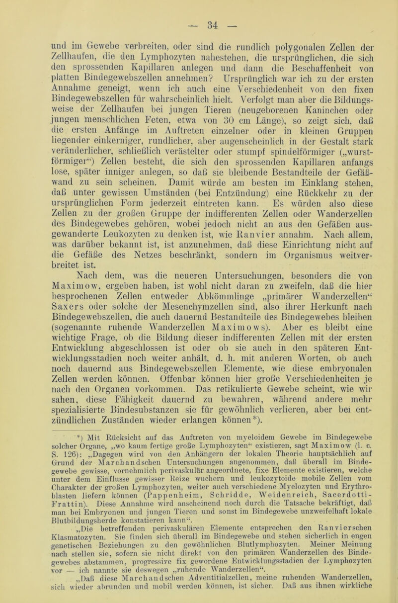 und im Gewebe verbreiten, oder sind die rundlich polygonalen Zellen der Zellhaufen, die den Lymphozyten nahestehen, die ursprünglichen, die sich den sprossenden Kapillaren anlegen und dann die Beschaffenheit von platten Bindegewebszellen annehmen? Ursprünglich war ich zu der ersten Annahme geneigt, wenn ich auch eine Verschiedenheit von den fixen Bindegewebszellen für wahrscheinlich hielt. Verfolgt man aber die Bildungs- weise der Zellhaufen bei jungen Tieren (neugeborenen Kaninchen oder jungen menschlichen Feten, etwa von 30 cm Länge), so zeigt sich, daß die ersten Anfänge im Auftreten einzelner oder in kleinen Gruppen liegender einkerniger, rundlicher, aber augenscheinlich in der Gestalt stark veränderlicher, schließlich verästelter oder stumpf spindelförmiger („wurst- förmiger) Zellen besteht, die sich den sprossenden Kapillaren anfangs lose, später inniger anlegen, so daß sie bleibende Bestandteile der Gefäß- wand zu sein scheinen. Damit würde am besten im Einklang stehen, daß unter gewissen Umständen (bei Entzündung) eine Rückkehr zu der ursprünglichen Form jederzeit eintreten kann. Es würden also diese Zellen zu der großen Gruppe der indifferenten Zellen oder Wanderzellen des Bindegewebes gehören, wobei jedoch nicht an aus den Gefäßen aus- gewanderte Leukozyten zu denken ist, wie Ranvier annahm. Nach allem, was darüber bekannt ist, ist anzunehmen, daß diese Einrichtung nicht auf die Gefäße des Netzes beschränkt, sondern im Organismus weitver- breitet ist. Nach dem, was die neueren Untersuchungen, besonders die von Maximow, ergeben haben, ist wohl nicht daran zu zweifeln, daß die hier besprochenen Zellen entweder Abkömmlinge „primärer Wanderzellen“ Saxers oder solche der Mesenchymzellen sind, also ihrer Herkunft nach Bindegewebszellen, die auch dauernd Bestandteile des Bindegewebes bleiben (sogenannte ruhende Wanderzellen Maximows). Aber es bleibt eine wichtige Frage, ob die Bildung dieser indifferenten Zellen mit der ersten Entwicklung abgeschlossen ist oder ob sie auch in den späteren Ent- wicklungsstadien noch weiter anhält, d. li. mit anderen Worten, ob auch noch dauernd aus Bindegewebszellen Elemente, wie diese embryonalen Zellen werden können. Offenbar können hier große Verschiedenheiten je nach den Organen Vorkommen. Das retikulierte Gewebe scheint, wie wir sahen, diese Fähigkeit dauernd zu bewahren, während andere mehr spezialisierte Bindesubstanzen sie für gewöhnlich verlieren, aber bei ent- zündlichen Zuständen wieder erlangen können*). *) Mit Rücksicht auf das Auftreten von myeloidem Gewebe im Bindegewebe solcher Organe, „wo kaum fertige große Lymphozyten“ existieren, sagt Maximow (1. c. S. 126): „Dagegen wird von den Anhängern der lokalen Theorie hauptsächlich auf Grund der Marchandschen Untersuchungen angenommen, daß überall im Binde- gewebe gewisse, vornehmlich perivaskulär angeordnete, fixe Elemente existieren, welche unter dem Einflüsse gewisser Reize wuchern und leukozytoide mobile Zellen vom Charakter der großen Lymphozyten, weiter auch verschiedene Myelozyten und Erythro- blasten liefern können (Pappenheim, Schridde, Weidenreich, Sacerdotti- Frattin). Diese Annahme wird anscheinend noch durch die Tatsache bekräftigt, daß man bei Embryonen und jungen Tieren und sonst im Bindegewebe unzweifelhaft lokale Blutbildungsherde konstatieren kann“. „Die betreffenden perivaskulären Elemente entsprechen den Ranviersehen Klasmatozyten. Sie finden sich überall im Bindegewebe und stehen sicherlich in engen genetischen Beziehungen zu den gewöhnlichen Blutlymphozyten. Meiner Meinung nach stellen sie, sofern sie nicht direkt von den primären Wanderzellen des Binde- gewebes abstammen, progressive fix gewordene Entwicklnngsstadien der Lymphozyten vor — ich nannte sie deswegen „ruhende Wanderzellen“. „Daß diese Marchandschen Adventitialzellen, meine ruhenden Wanderzellen, sich wieder abrunden und mobil werden können, ist sicher. Daß aus ihnen wirkliche