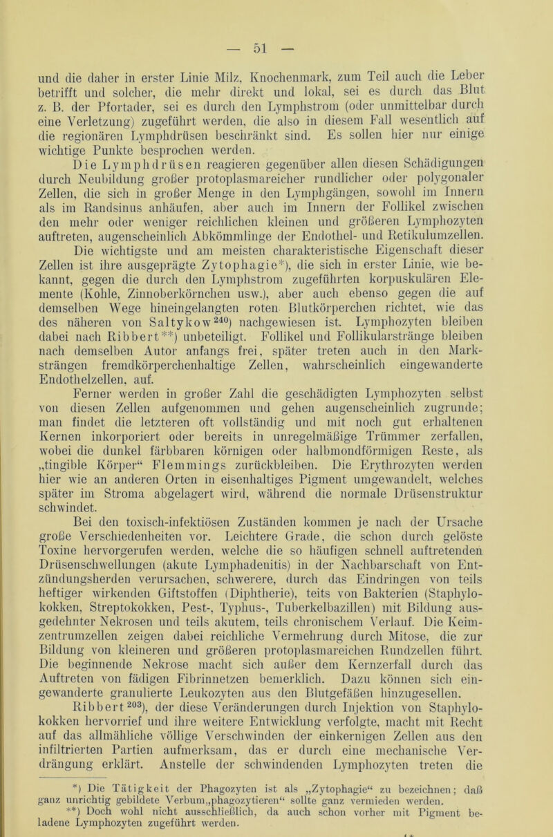 und die daher in erster Linie Milz, Knochenmark, zum Teil auch die Leber betrifft und solcher, die mehr direkt und lokal, sei es durch das Blut z. B. der Pfortader, sei es durch den Lymphstrom (oder unmittelbar durch eine Verletzung) zugeführt werden, die also in diesem Fall wesentlich auf die regionären Lymphdrüsen beschränkt sind. Es sollen hier nur einige wichtige Punkte besprochen werden. Die Lymphdrüsen reagieren gegenüber allen diesen Schädigungen durch Neubildung großer protoplasmareicher rundlicher oder polygonaler Zellen, die sich in großer Menge in den Lymphgängen, sowohl im Innern als im Randsinus anhäufen, aber auch im Innern der Follikel zwischen den mehr oder weniger reichlichen kleinen und größeren Lymphozyten auftreten, augenscheinlich Abkömmlinge der Endothel- und Retikulumzellen. Die wichtigste und am meisten charakteristische Eigenschaft dieser Zellen ist ihre ausgeprägte Zytophagie*), die sich in erster Linie, wie be- kannt, gegen die durch den Lymphstrom zugeführten korpuskularen Ele- mente (Kohle, Zinnoberkörnchen usw.), aber auch ebenso gegen die auf demselben Wege hineingelangten roten Blutkörperchen richtet, wie das des näheren von Saltykow 240) nachgewiesen ist. Lymphozyten bleiben dabei nach Ribbert**) unbeteiligt. Follikel und Follikularstränge bleiben nach demselben Autor anfangs frei, später treten auch in den Mark- strängen fremdkörperchenhaltige Zellen, wahrscheinlich eingewanderte Endothelzellen, auf. Ferner werden in großer Zahl die geschädigten Lymphozyten selbst von diesen Zellen aufgenommen und gehen augenscheinlich zugrunde; man findet die letzteren oft vollständig und mit noch gut erhaltenen Kernen inkorporiert oder bereits in unregelmäßige Trümmer zerfallen, wobei die dunkel färbbaren körnigen oder halbmondförmigen Reste, als „tingible Körper“ Flemmings Zurückbleiben. Die Erythrozyten werden hier wie an anderen Orten in eisenhaltiges Pigment umgewandelt, welches später im Stroma abgelagert wird, während die normale Drüsenstruktur schwindet. Bei den toxisch-infektiösen Zuständen kommen je nach der Ursache große Verschiedenheiten vor. Leichtere Grade, die schon durch gelöste Toxine hervorgerufen werden, welche die so häufigen schnell auf tretenden Drüsenschwellungen (akute Lymphadenitis) in der Nachbarschaft von Ent- zündungsherden verursachen, schwerere, durch das Eindringen von teils heftiger wirkenden Giftstoffen (Diphtherie), teits von Bakterien (Staphylo- kokken, Streptokokken, Pest-, Typhus-, Tuberkelbazillen) mit Bildung aus- gedehnter Nekrosen und teils akutem, teils chronischem Verlauf. Die Keim- zentrumzellen zeigen dabei reichliche Vermehrung durch Mitose, die zur Bildung von kleineren und größeren protoplasmareichen Rundzellen führt. Die beginnende Nekrose macht sich außer dem Kernzerfall durch das Auftreten von fädigen Fibrinnetzen bemerklich. Dazu können sich ein- gewanderte granulierte Leukozyten aus den Blutgefäßen hinzugesellen. Ribbert 203), der diese Veränderungen durch Injektion von Staphylo- kokken hervorrief und ihre weitere Entwicklung verfolgte, macht mit Recht auf das allmähliche völlige Verschwinden der einkernigen Zellen aus den infiltrierten Partien aufmerksam, das er durch eine mechanische Ver- drängung erklärt. Anstelle der schwindenden Lymphozyten treten die *) Die Tätigkeit der Phagozyten ist als „Zytophagie“ zu bezeichnen; daß ganz unrichtig gebildete Verbum„phagozytiereil“ sollte ganz vermieden werden. **) Doch wohl nicht ausschließlich, da auch schon vorher mit Figment be- ladene Lymphozyten zugefiihrt werden.