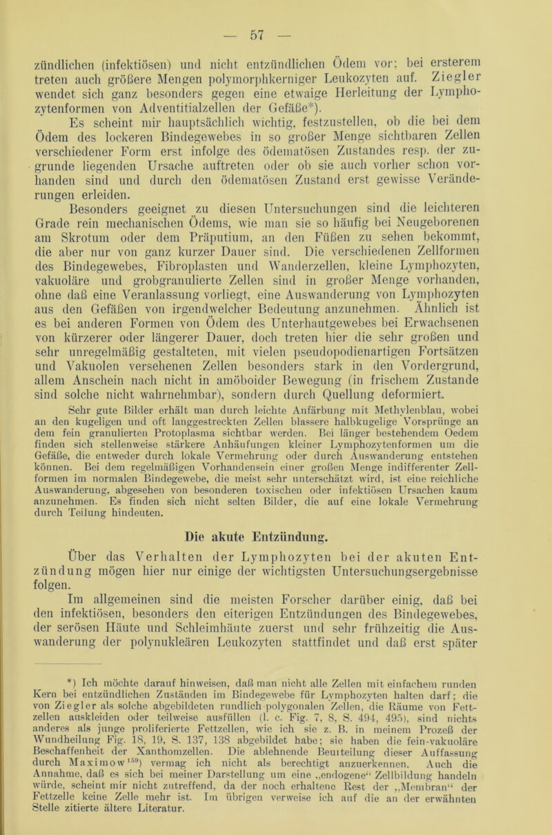 zündlichen (infektiösen) lind nicht entzündlichen Ödem vor; bei ersterem treten auch größere Mengen polymorphkerniger Leukozyten auf. Ziegler wendet sich ganz besonders gegen eine etwaige Herleitung der Lympho- zytenformen von Adventitialzellen der Gefäße*). Es scheint mir hauptsächlich wichtig, festzustellen, ob die bei dem Ödem des lockeren Bindegewebes in so großer Menge sichtbaren Zellen verschiedener Form erst infolge des ödematösen Zustandes resp. der zu- grunde liegenden Ursache auftreten oder ob sie auch vorher schon vor- handen sind und durch den ödematösen Zustand erst gewisse Verände- rungen erleiden. Besonders geeignet zu diesen Untersuchungen sind die leichteren Grade rein mechanischen Ödems, wie man sie so häufig bei Neugeborenen am Skrotum oder dem Präputium, an den Füßen zu sehen bekommt, die aber nur von ganz kurzer Dauer sind. Die verschiedenen Zellformen des Bindegewebes, Fibroplasten und Wanderzellen, kleine Lymphozyten, vakuoläre und grobgranulierte Zellen sind in großer Menge vorhanden, ohne daß eine Veranlassung vorliegt, eine Auswanderung von Lymphozyten aus den Gefäßen von irgendwelcher Bedeutung anzunehmen. Ähnlich ist es bei anderen Formen von Ödem des Unterhautgewebes bei Erwachsenen von kürzerer oder längerer Dauer, doch treten hier die sehr großen und sehr unregelmäßig gestalteten, mit vielen pseudopodienartigen Fortsätzen und Vakuolen versehenen Zellen besonders stark in den Vordergrund, allem Anschein nach nicht in amöboider Bewegung (in frischem Zustande sind solche nicht wahrnehmbar), sondern durch Quellung deformiert. Sehr gute Bilder erhält man durch leichte Anfärbung mit Methylenblau, wobei an den kugeligen und oft langgestreckten Zellen blässere halbkugelige Vorsprünge an dem fein granulierten Protoplasma sichtbar werden. Bei länger bestehendem Oedem finden sich stellenweise stärkere Anhäufungen kleiner Lymphozytenformen um die Gefäße, die entweder durch lokale Vermehrung oder durch Auswanderung entstehen können. Bei dem regelmäßigen Vorhandensein einer großen Menge indifferenter Zell- formen im normalen Bindegewebe, die meist sehr unterschätzt wird, ist eine reichliche Auswanderung, abgesehen von besonderen toxischen oder infektiösen Ursachen kaum anzunehmen. Es finden sich nicht selten Bilder, die auf eine lokale Vermehrung durch Teilung hindeuten. Die akute Entzündung. Über das Verhalten der Lymphozyten bei der akuten Ent- zündung mögen hier nur einige der wichtigsten Untersuchungsergebnisse folgen. Im allgemeinen sind die meisten Forscher darüber einig, daß bei den infektiösen, besonders den eiterigen Entzündungen des Bindegewebes, der serösen Lläute und Schleimhäute zuerst und sehr frühzeitig die Aus- wanderung der polynukleären Leukozyten stattfindet und daß erst später *) Ich möchte darauf hinweisen, daß man nicht alle Zellen mit einfachem runden Kern bei entzündlichen Zuständen im Bindegewebe für Lymphozyten halten darf; die von Ziegler als solche abgebildeten rundlich polygonalen Zellen, die Räume von Fett- zellen auskleiden oder teilweise ausfüllen (1. c. Fig. 7, 8, S. 494, 495), sind nichts anderes als junge proliferierte Fettzellen, wie ich sie z. B. in meinem Prozeß der Wundheilung Fig. 18, 19, S. 137, 138 abgebildet habe; sie haben die fein-vakuoläre Beschaffenheit der Xanthomzellen. Die ablehnende Beuiteilung dieser Auffassung durch Maximow159) vermag ich nicht als berechtigt anzuerkennen. Auch die Annahme, daß es sich bei meiner Darstellung um eine „endogene“ Zellbildung handeln würde, scheint mir nicht zutreffend, da der noch erhaltene Rest der „Membran“ der Fettzelle keine Zelle mehr ist. Im übrigen verweise ich auf die an der erwähnten Stelle zitierte ältere Literatur.