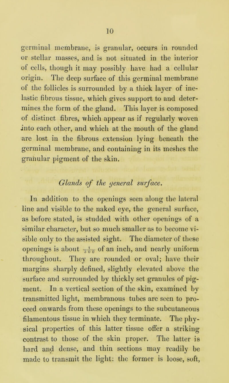 germinal membrane, is granular, occurs in rounded or stellar masses, and is not situated in the interior of cells, though it may possibly have had a cellular origin. The deep surface of this germinal membrane of the follicles is surrounded by a thick layer of ine- lastic fibrous tissue, which gives support to and deter- mines the form of the gland. This layer is composed of distinct fibres, which appear as if regularly woven into each other, and which at the mouth of the gland are lost in the fibrous extension lying beneath the germinal membrane, and containing in its meshes the granular pigment of the skin. Glands of the general surface. In addition to the openings seen along the lateral line and visible to the naked eye, the general surface, as before stated, is studded with other openings of a similar character, but so much smaller as to become vi- sible only to the assisted sight. The diameter of these openings is about of an inch, and nearly uniform throughout. They are rounded or oval; have their margins sharply defined, slightly elevated above the surface and surrounded by thickly set granules of pig- ment. In a vertical section of the skin, examined by transmitted light, membranous tubes are seen to pro- ceed onwards from these openings to the subcutaneous filamentous tissue in which they terminate. The phy- sical properties of this latter tissue offer a striking contrast to those of the skin proper. The latter is hard and dense, and thin sections may readily be made to transmit the light: the former is loose, soft.