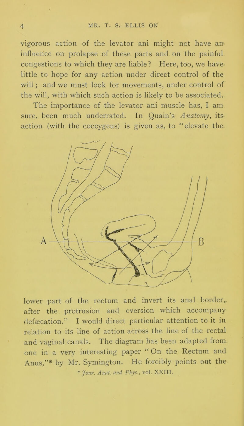vigorous action of the levator ani might not have an' influence on prolapse of these parts and on the painful congestions to which they are liable? Here, too, we have little to hope for any action under direct control of the will; and we must look for movements, under control of the will, with which such action is likely to be associated. The importance of the levator ani muscle has, I am sure, been much underrated. In Quain’s Anatomy, its action (with the coccygeus) is given as, to “elevate the lower part of the rectum and invert its anal border,, after the protrusion and eversion which accompany defsecation.” I would direct particular attention to it in relation to its line of action across the line of the rectal and vaginal canals. The diagram has been adapted from one in a very interesting paper “ On the Rectum and Anus,”^ by Mr. Symington. He forcibly points out the * Jour. Anat. and Phys., vol. XXIII.