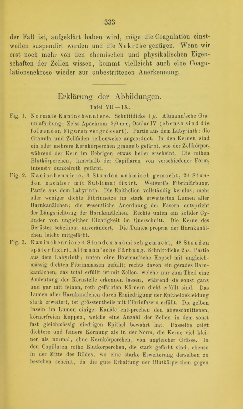 der Fall ist, aufgeklärt haben wird, möge die Coagulation einst- weilen suspendirt werden und die Nekrose genügen. Wenn wir erst noch mehr von den chemischen und physikalischen Eigen- schaften der Zellen wissen, kommt vielleicht auch eine Coagu- lationsnekrose wieder zur unbestrittenen Anerkennung. Erklärung der Abbildungen. O O Tafel VII — IX. Fig. 1. Normale Kaninchenniere. Schnittdickel«. Altmann’sche Gra- nulafärbung; Zeiss Apochrom. 2,0 mm, Ocular IV (ebenso sind die folgenden Figuren vergrössert). Partie aus dem Labyrinth; die Granula und Zellfäden reihenweise angeordnet. In den Kernen sind ein oder mehrere Kernkörperchen graugelb gefärbt, wie der Zellkörper, während der Kern im Uebrigen etwas heller erscheint. Die rothen Blutkörperchen, innerhalb der Capillaren von verschiedener Form, intensiv dunkelroth gefärbt. Fig. 2. Kaninchenniere, 3 Stunden anämisch gemacht, 24 Stun- den nachher mit Sublimat fixirt. Weigert’s Fibrinfärbung. Partie aus dem Labyrinth. Die Epithelien vollständig kernlos; mehr oder weniger dichte Fibrinnetze im stark erweiterten Lumen aller Harnkanälchen; die wesentliche Anordnung der Fasern entspricht der Längsrichtung der Harnkanälchen. Rechts unten ein solider Cy- linder von ungleicher Dichtigkeit im Querschnitt. Die Kerne des Gerüstes scheinbar unverändert. Die Tunica propria der Harnkanäl- chen leicht mitgefärbt. Fig. 3. Kan i n chenniere 4 S tu n den anämi sc h gemach t, 48 Stunden später fixirt, Altmann’sche Färbung. Schnittdicke 2 u. Partie aus dem Labyrinth; unten eine Bowman’sche Kapsel mit ungleich- mässig dichten Fibrinmassen gefüllt ; rechts davon ein gerades Harn- kanälchen, das total erfüllt ist mit Zellen, welche nur zum Theil eine Andeutung der Kernstelle erkennen lassen, während sie sonst ganz und gar mit feinen, roth gefärbten Körnern dicht erfüllt sind. Das Lumen aller Harnkanälchen durch Erniedrigung der Epithelbekleidung stark erweitert, ist grösstentheils mit Fibrinfasern erfüllt. Die gelben Inseln im Lumen einiger Kanäle entsprechen den abgeschnittenen, körnerfreien Kuppen, welche eine Anzahl der Zellen in dem sonst fast gleichmiissig niedrigen Epithel bewahrt hat. Dasselbe zeigt dichtere und feinere Körnung als in der Norm, die Kerne viel klei- ner als normal, ohne Kernkörperchen, von ungleicher Grösse. In den Capillaren rothe Blutkörperchen, die stark gefärbt sind; ebenso in der Mitte des Bildes, wo eine starke Erweiterung derselben zu bestehen scheint, da die gute Erhaltung der Blutkörperchen gegen